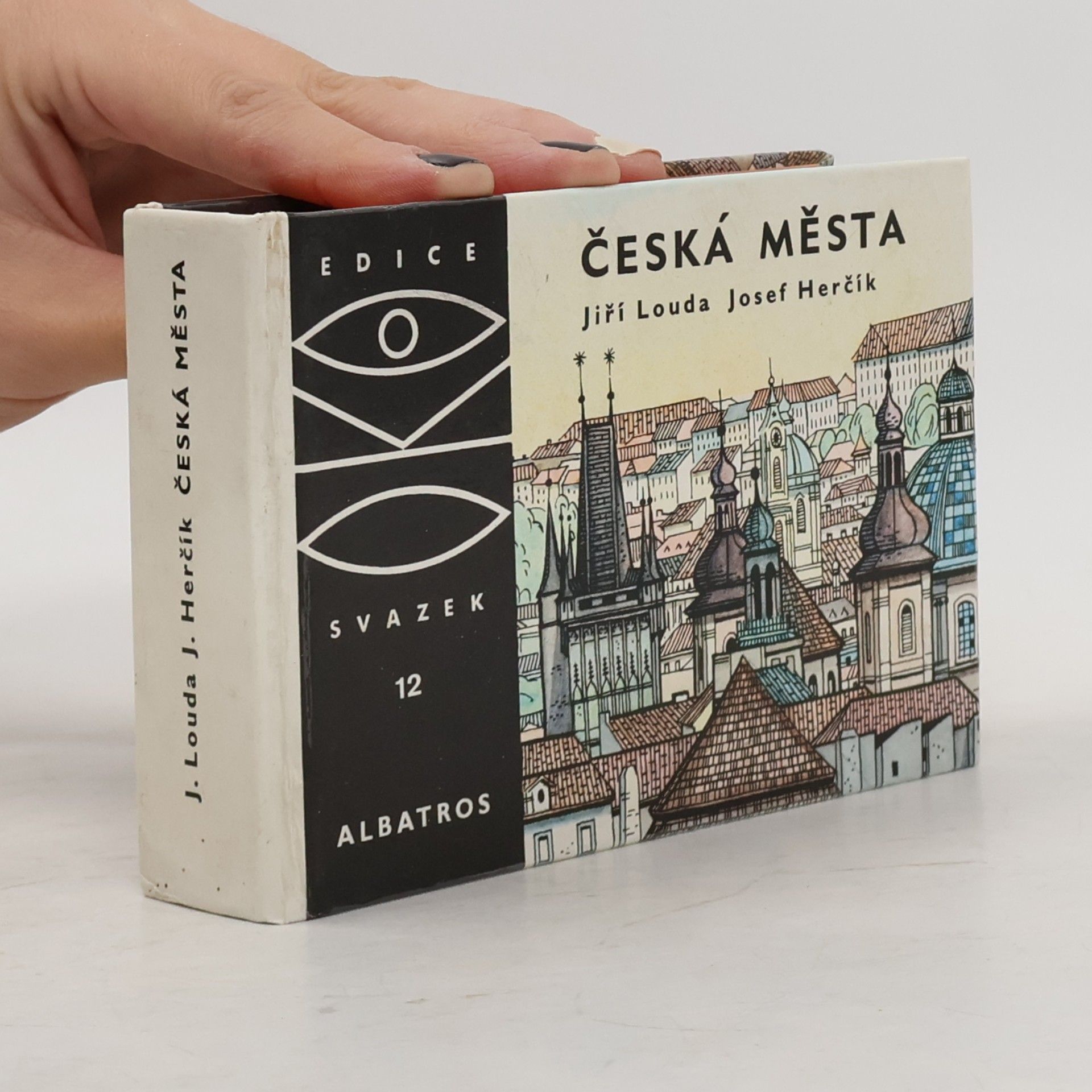 Česká města