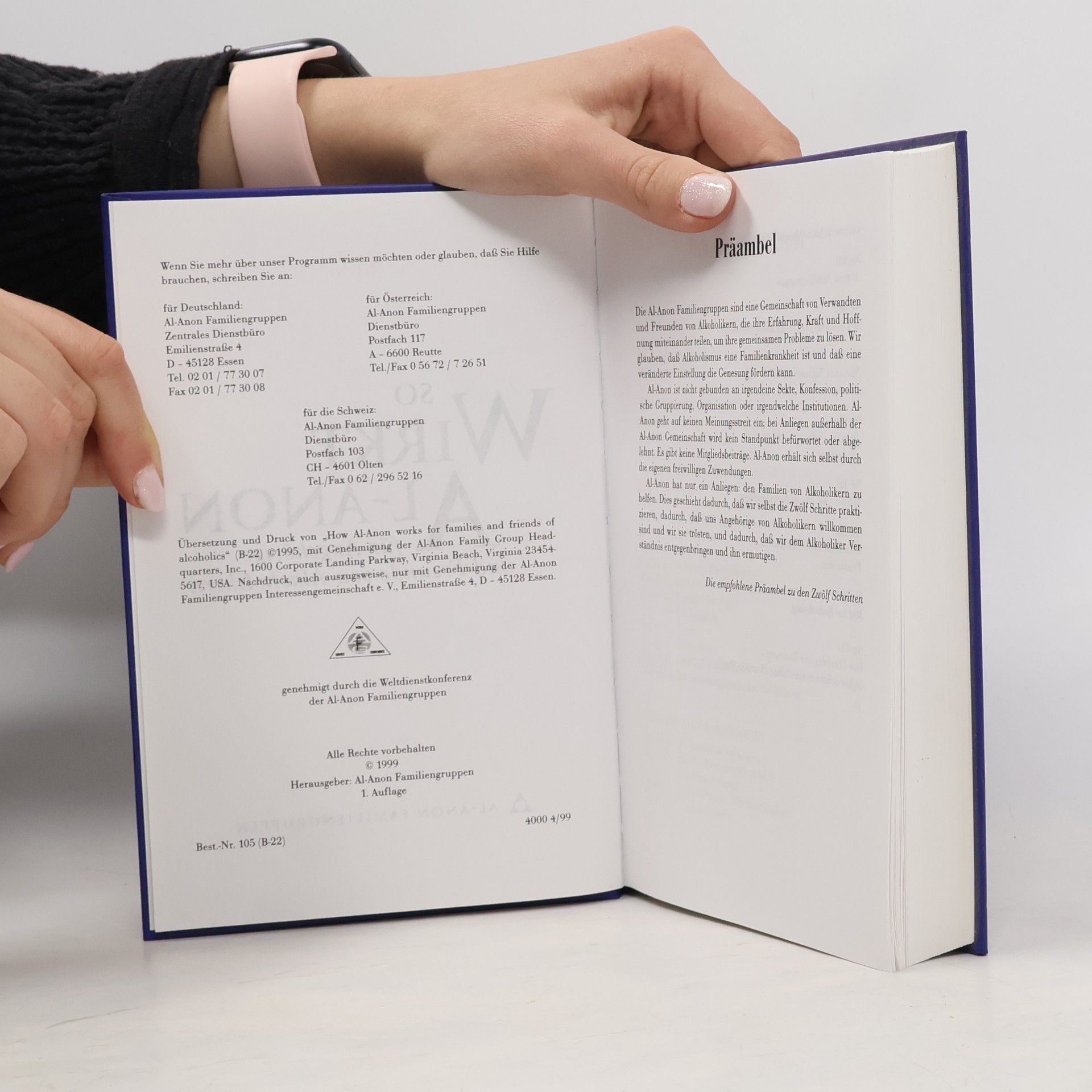 Various authors So Wirkt Al-anon für Angehörige und Freunde von Alkoholikern