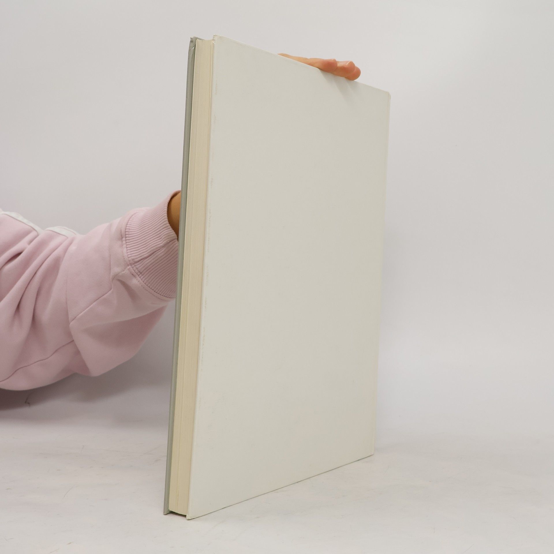 Josef Ammon Handbuch der VorWAND-Installation
