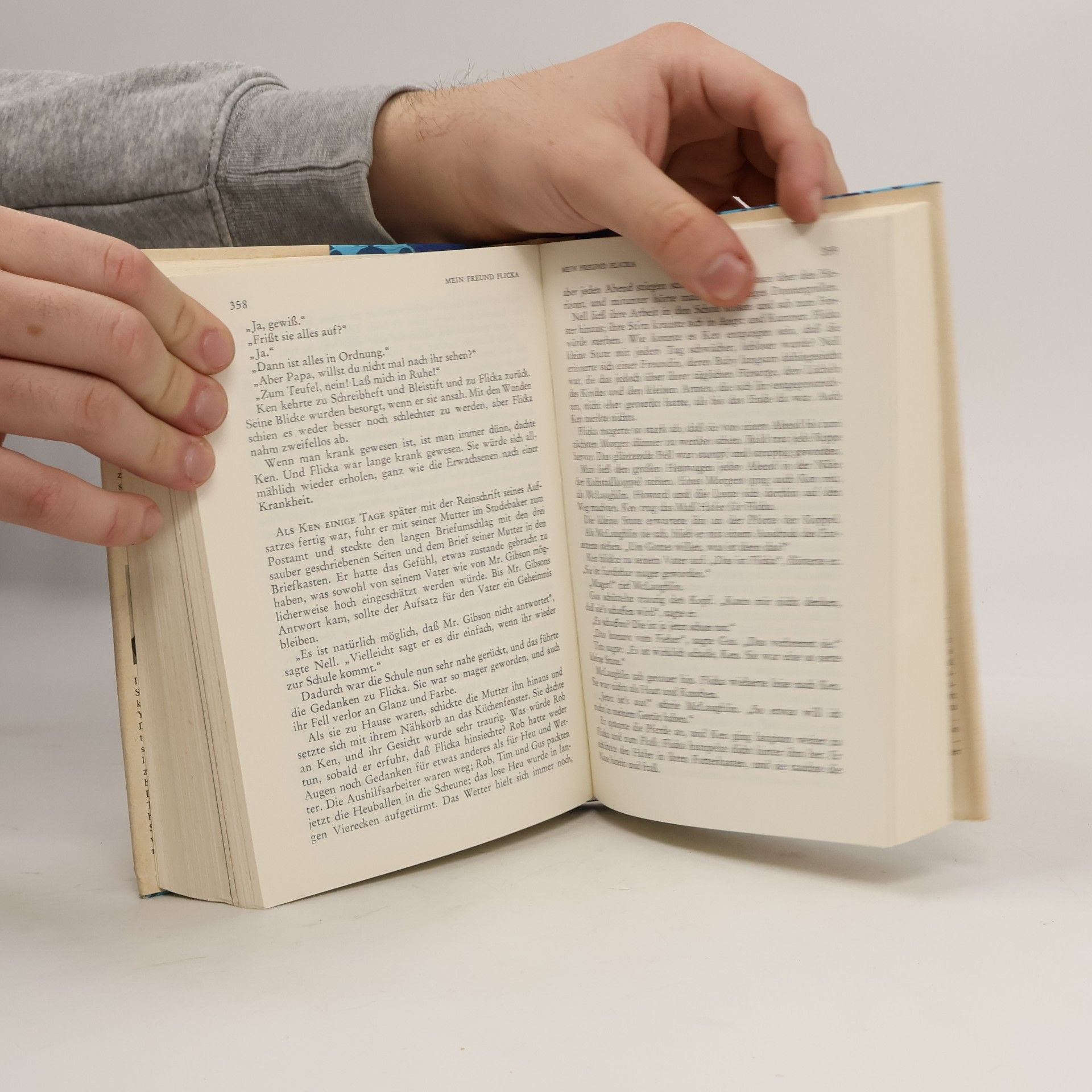 Mark Twain Die schönsten Bücher für junge Leser