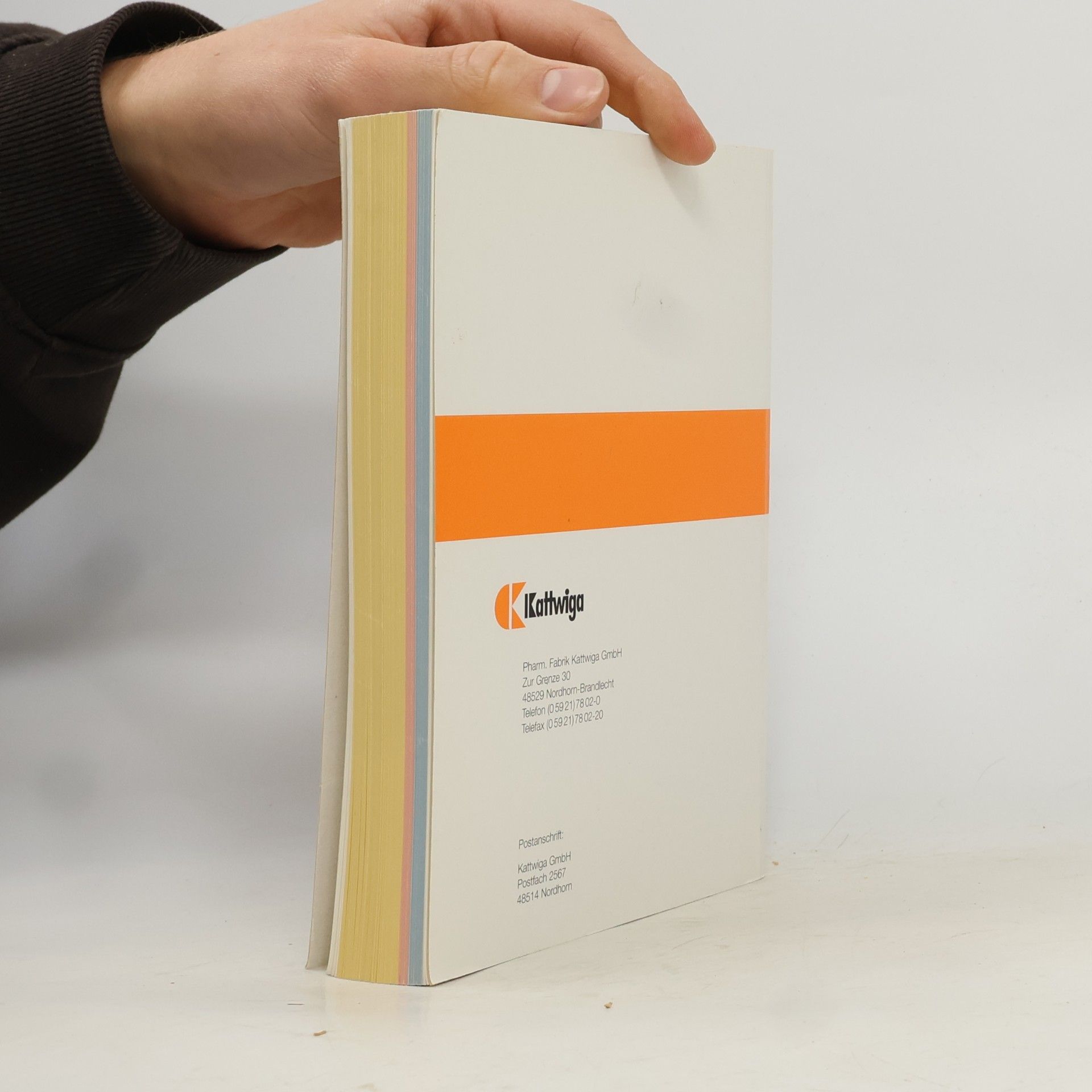 Kolektiv autorů Therapeutisches Handbuch