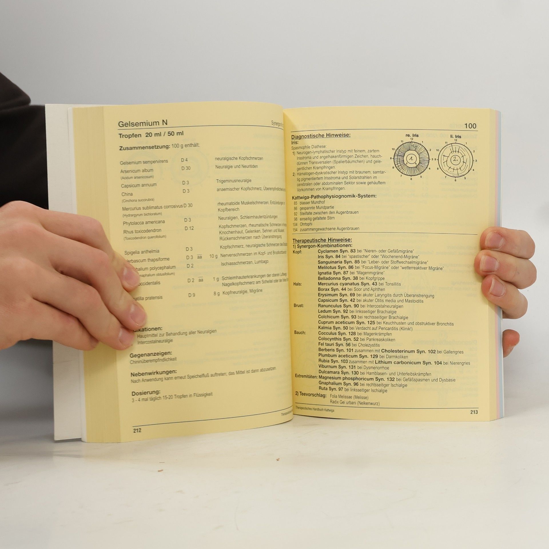 Kolektiv autorů Therapeutisches Handbuch
