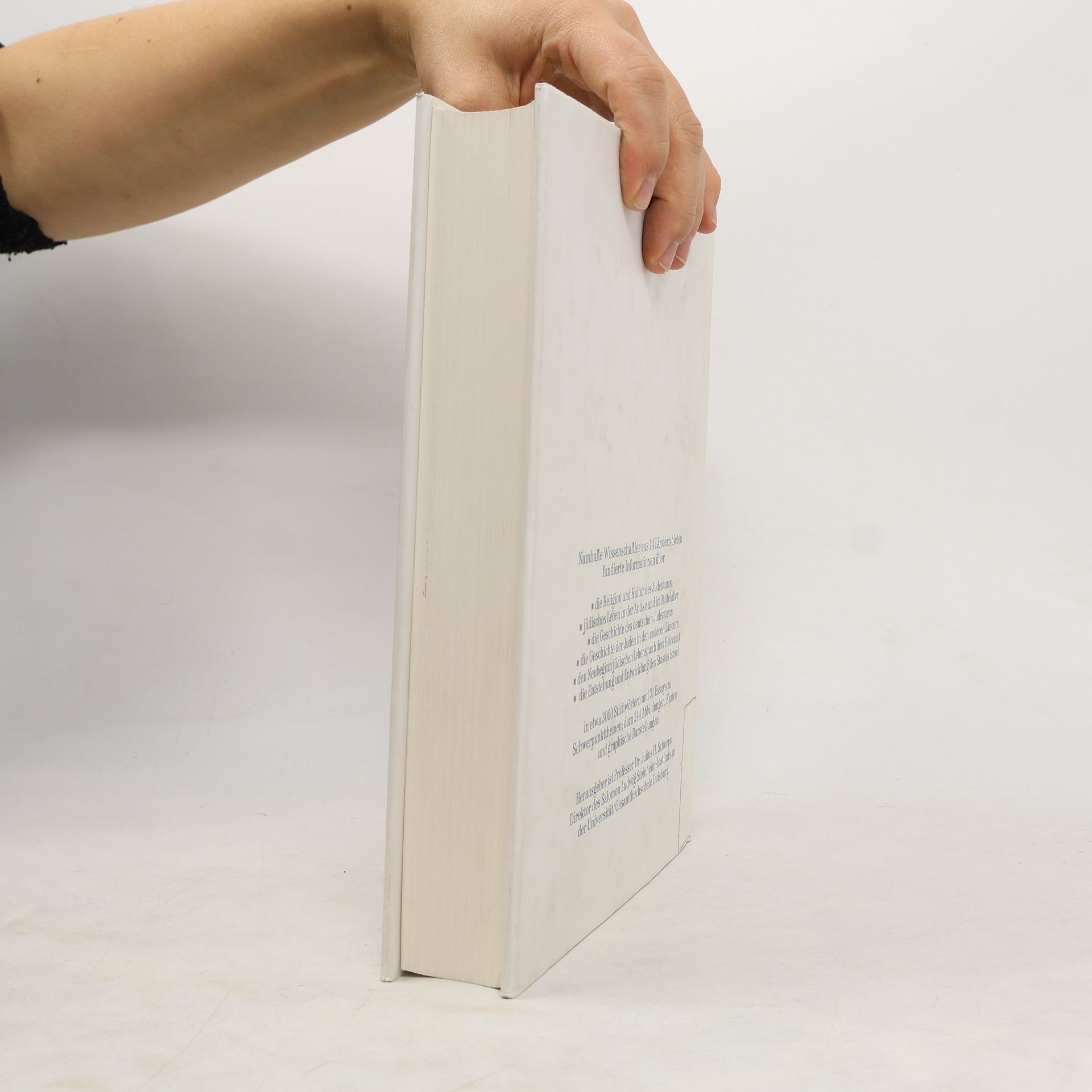 Julius H. Schoeps Neues Lexikon des Judentums