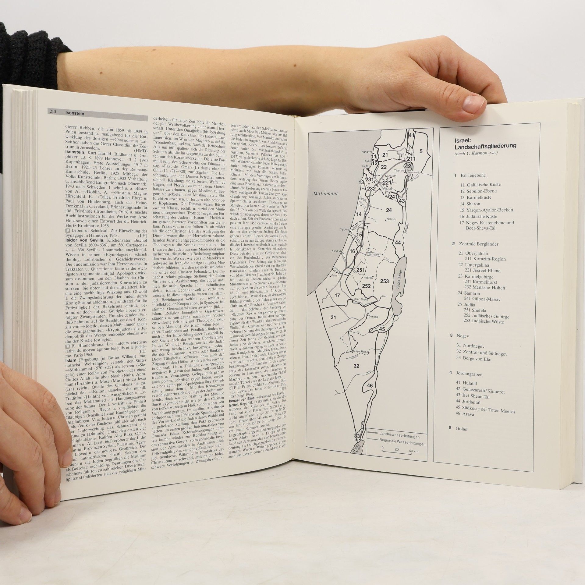 Julius H. Schoeps Neues Lexikon des Judentums