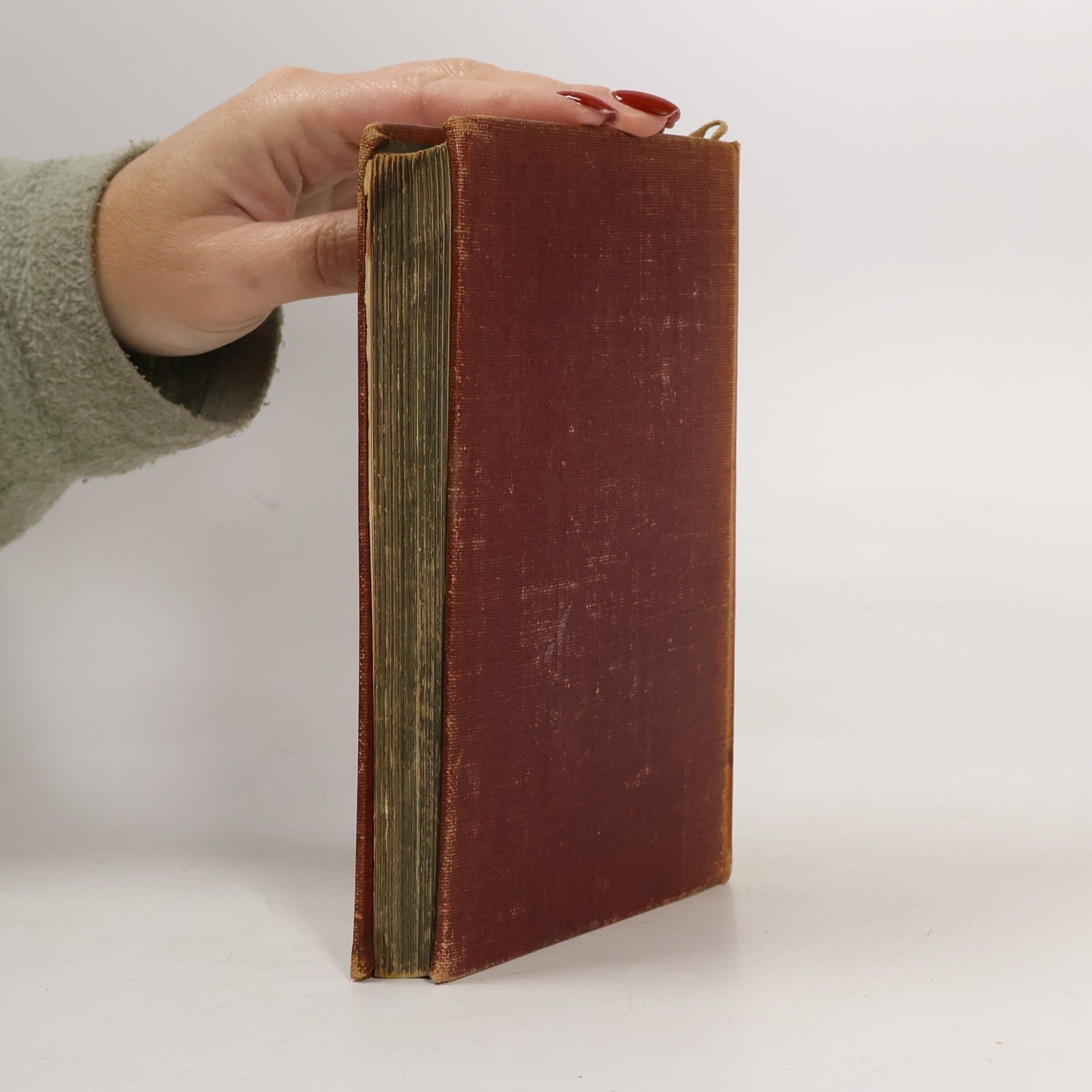 Elisabeth von Heyking DER TAG ANDERER