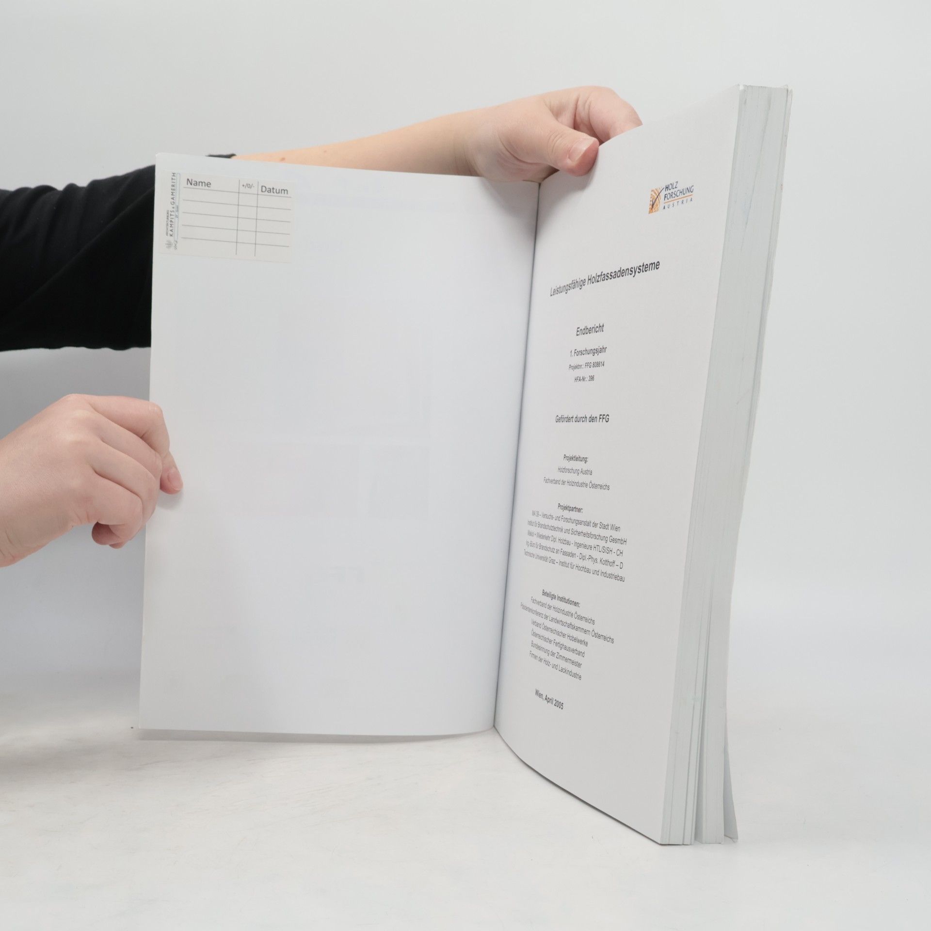 Autorenkollektiv Leistungsfähige Holzfassadensysteme