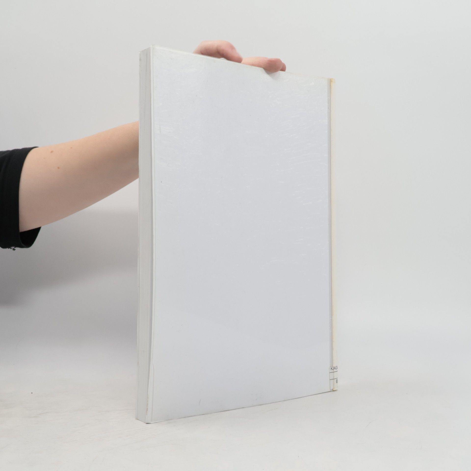 Autorenkollektiv Leistungsfähige Holzfassadensysteme