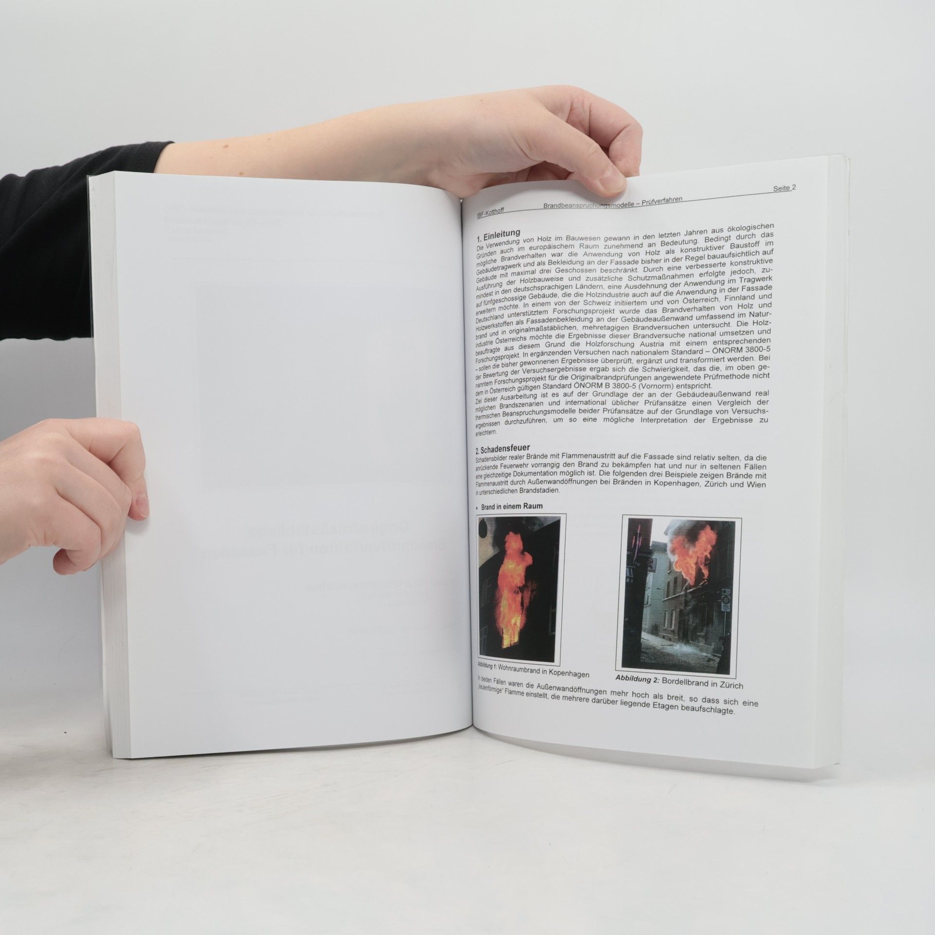 Autorenkollektiv Leistungsfähige Holzfassadensysteme