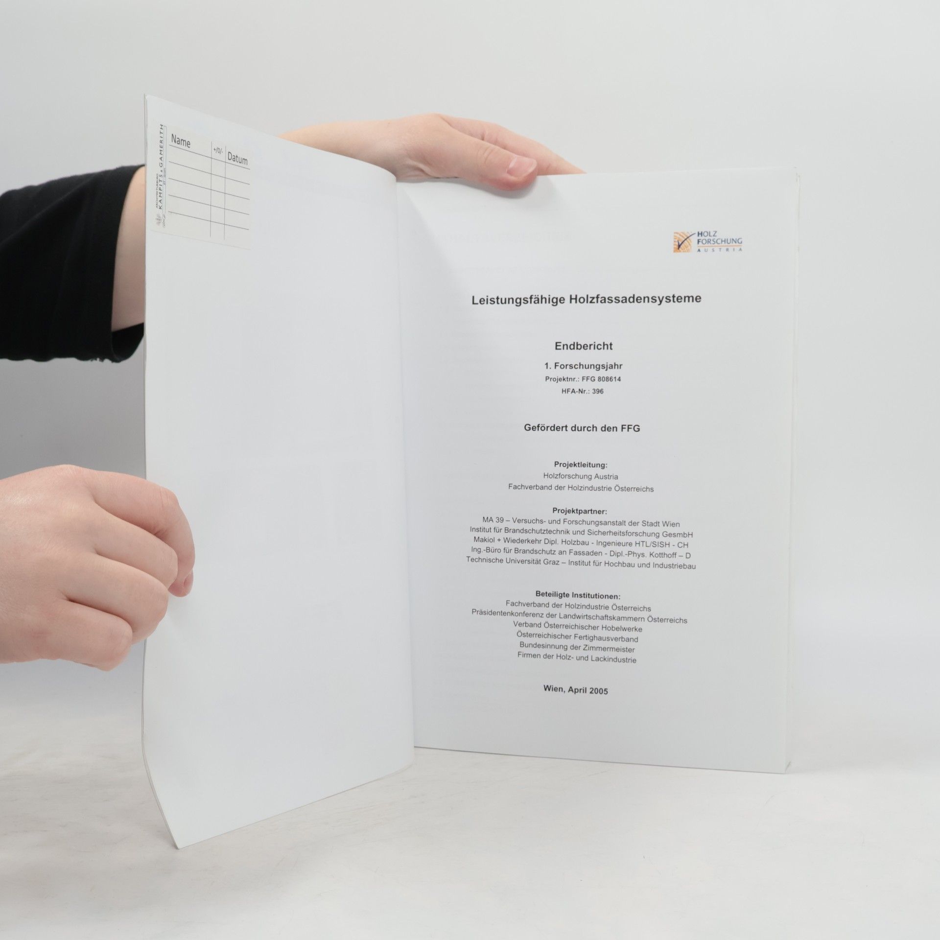 Autorenkollektiv Leistungsfähige Holzfassadensysteme