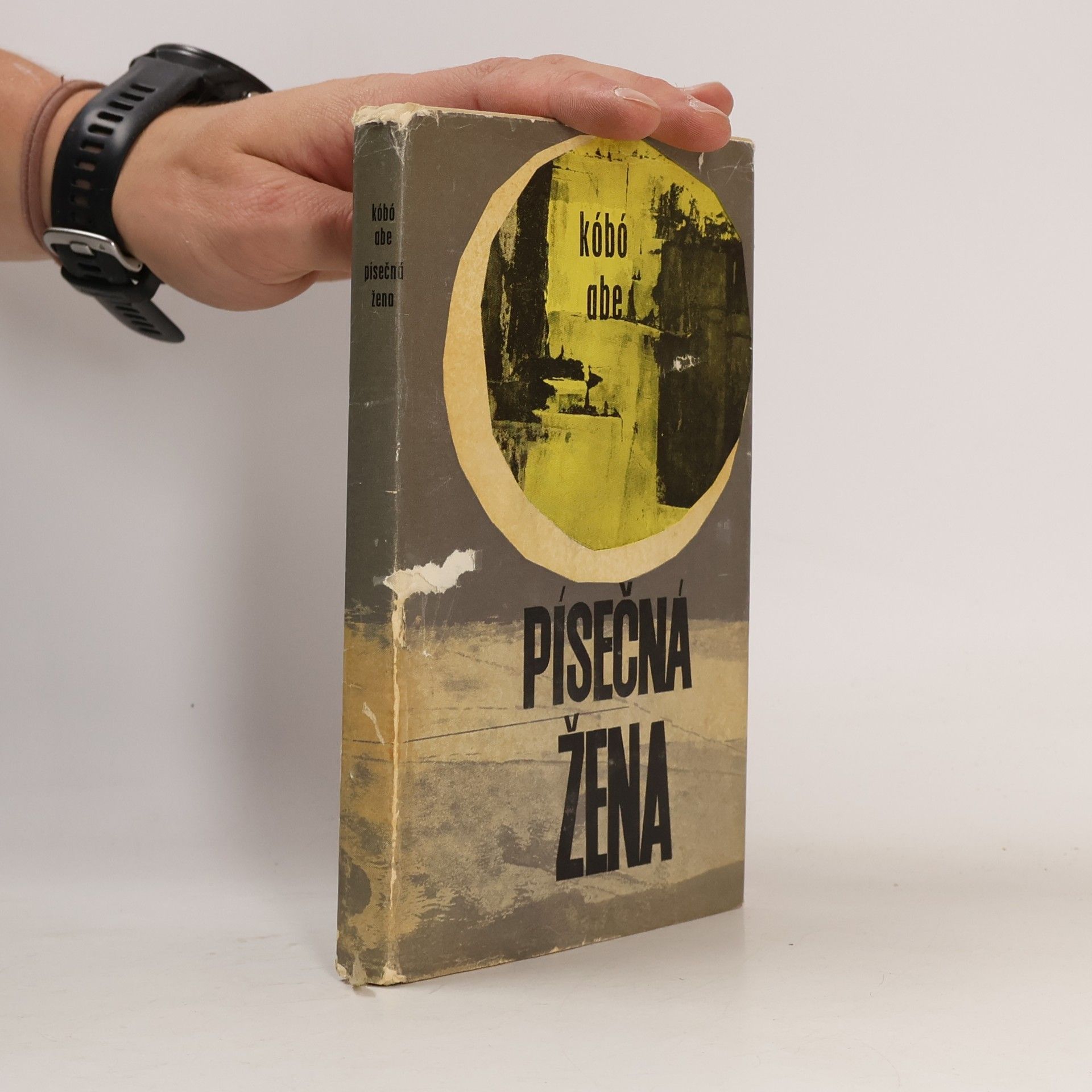 Kōbō Abe Písečná žena
