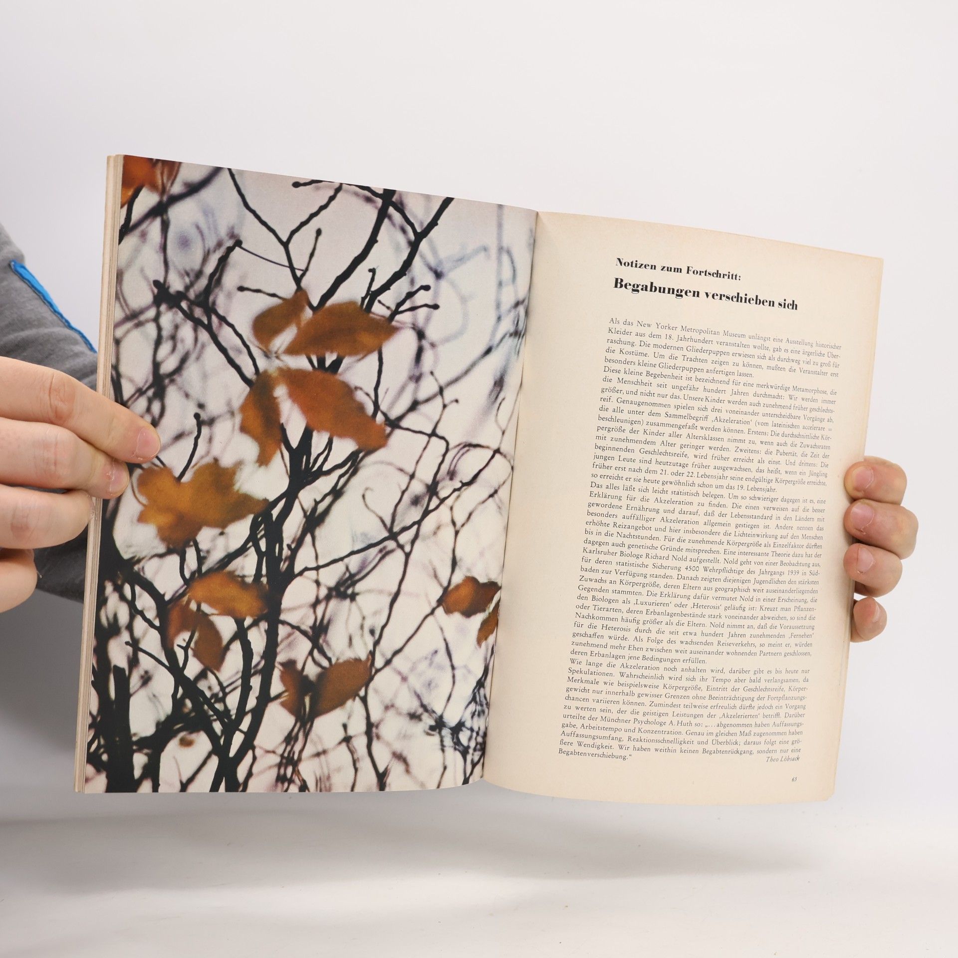 Collectif d'auteurs Westermann. Welt. Kunst. Kultur 8/1968