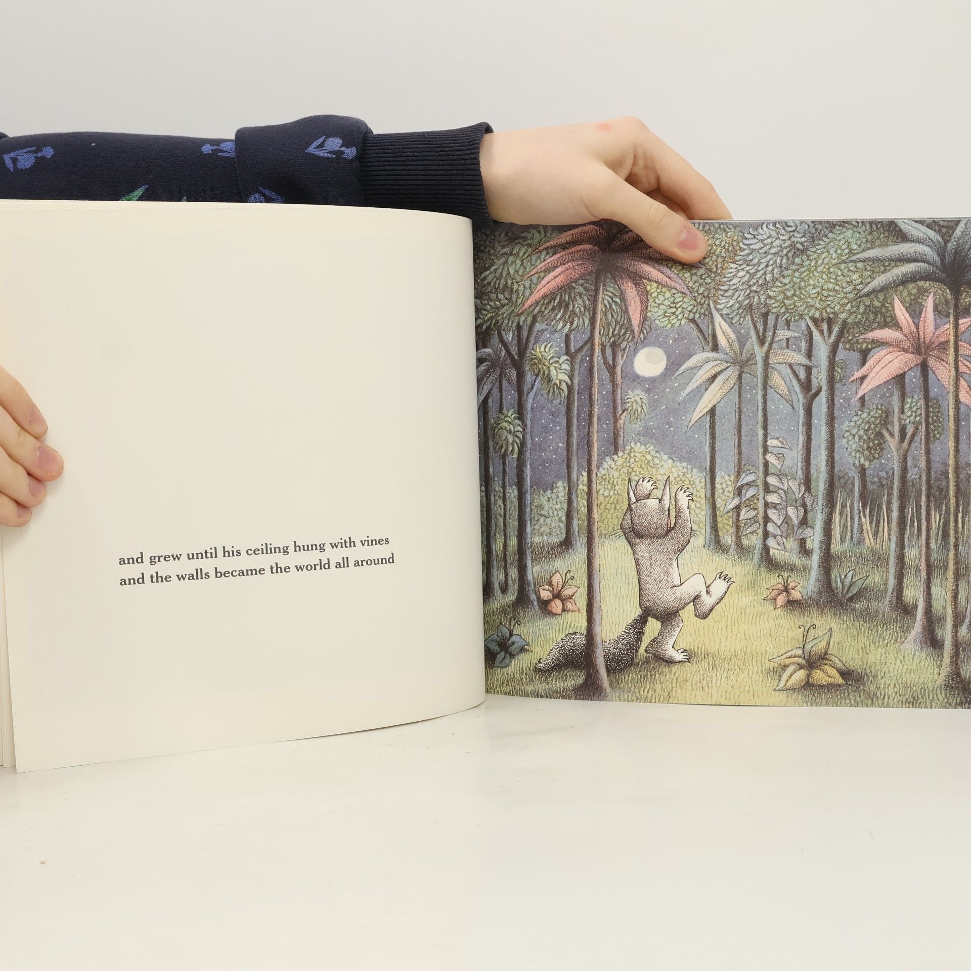 Maurice Sendak Where the Wild Things Are