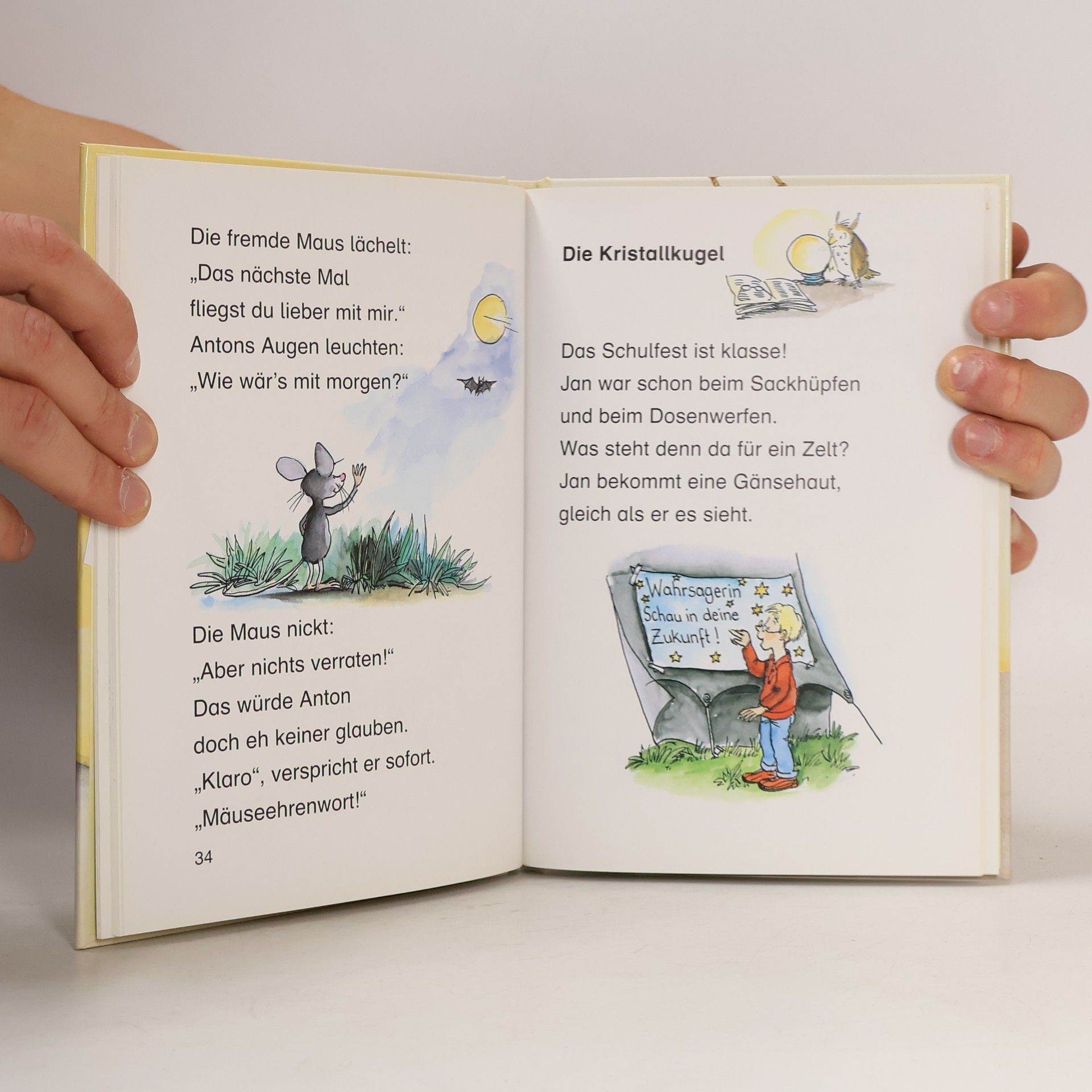 Julia Boehme LesePiraten-Geheimnisgeschichten