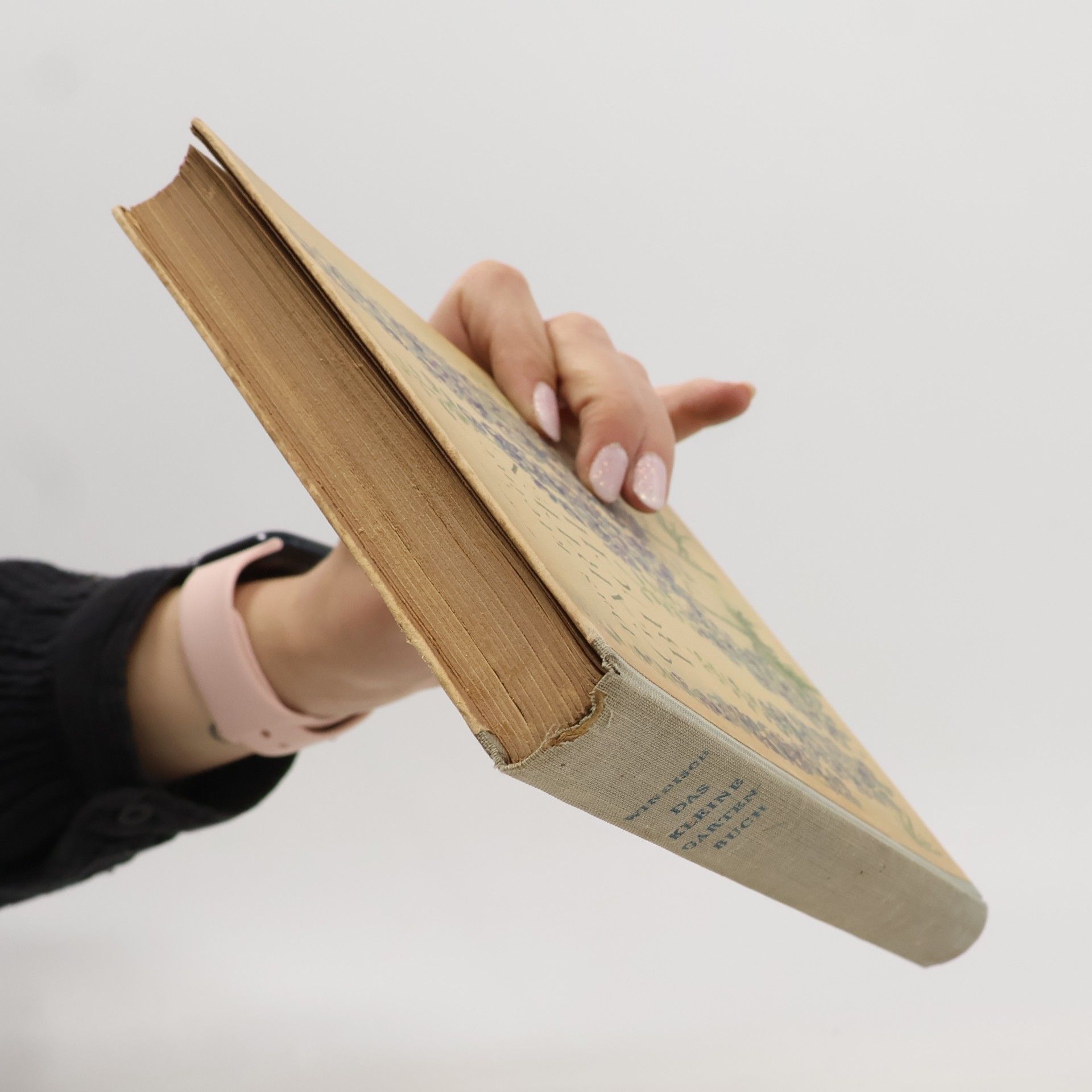 Hans Windisch Das kleine Gartenbuch