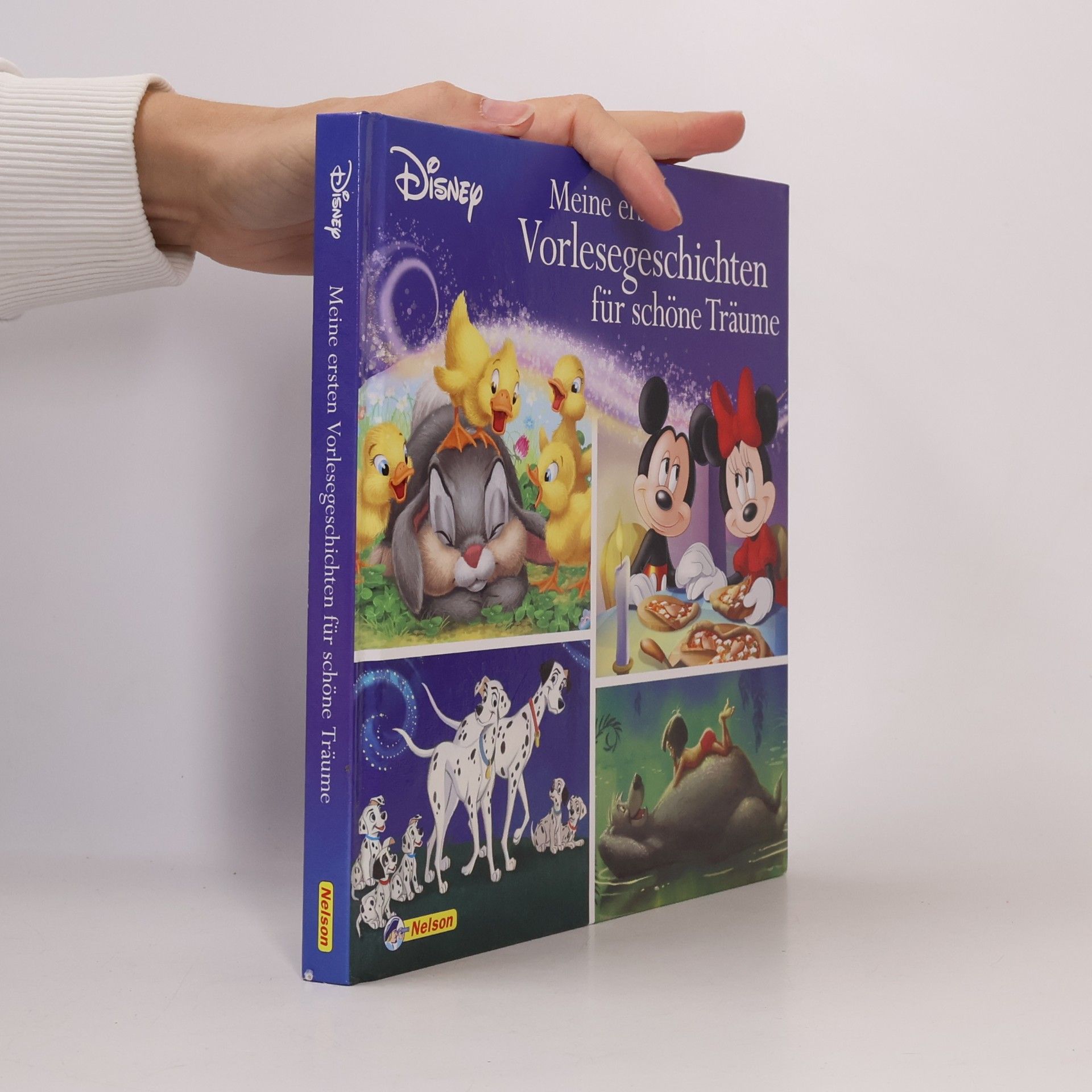 Various authors Meine ersten Vorlesegeschichten für schöne Träume