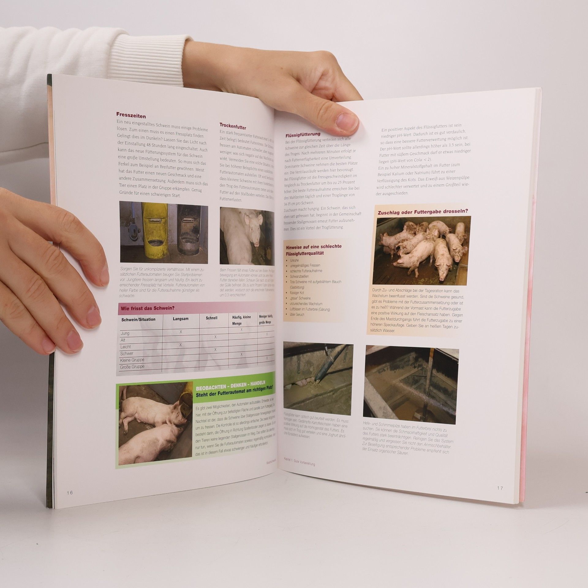 Mark Roozen Schweine® Signale: Mastschweine
