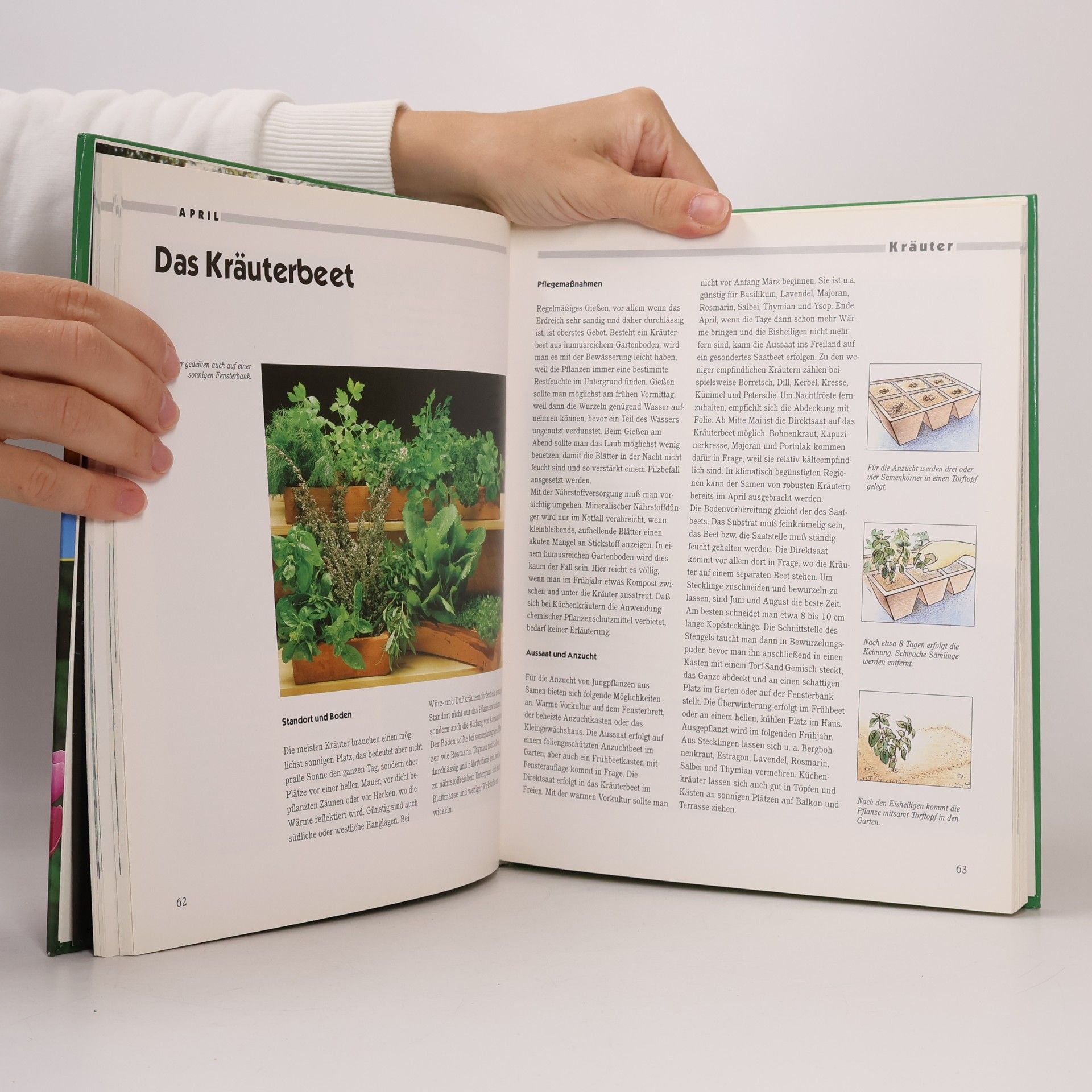 Sebastian Holzner Der Garten rund ums Jahr