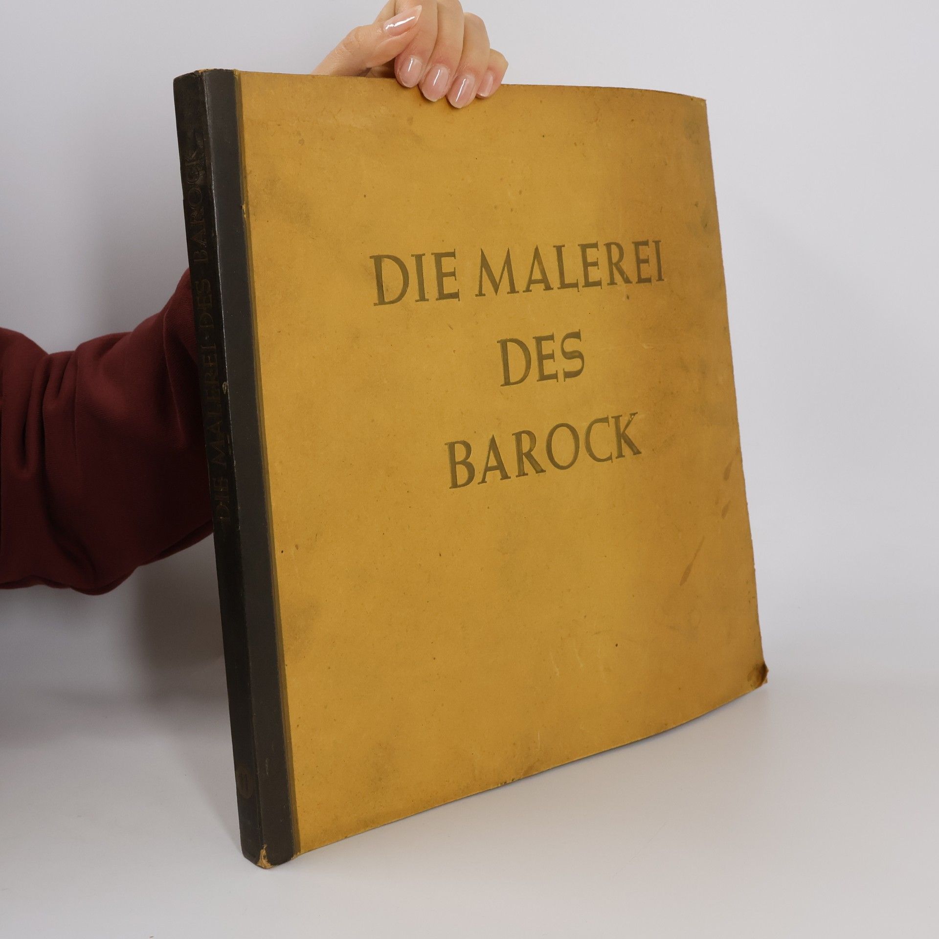 Kolektiv autorů Die Malerei des Barock