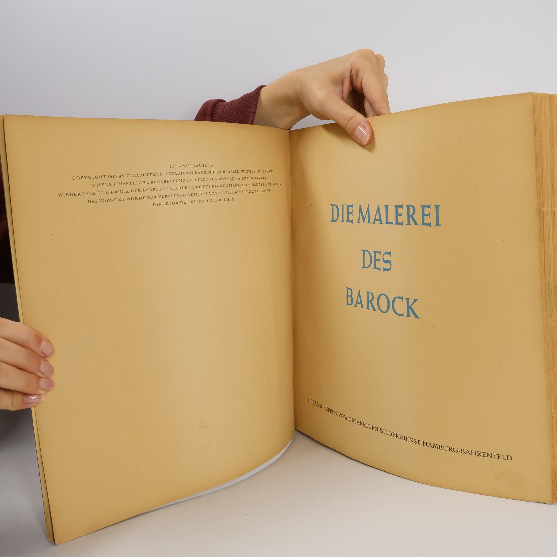 Kolektiv autorů Die Malerei des Barock