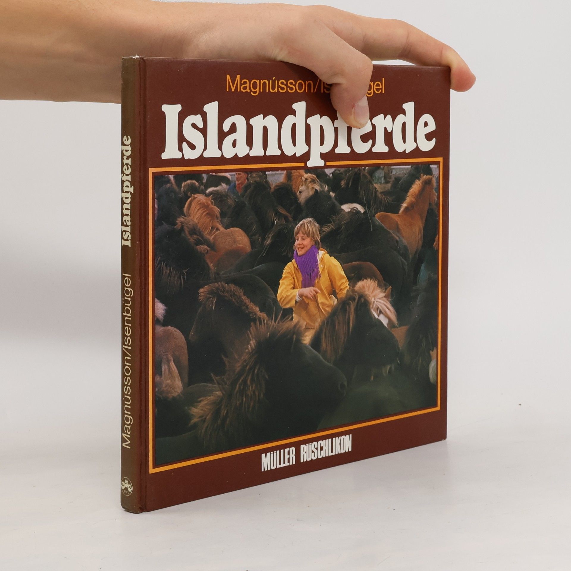 Islandpferde