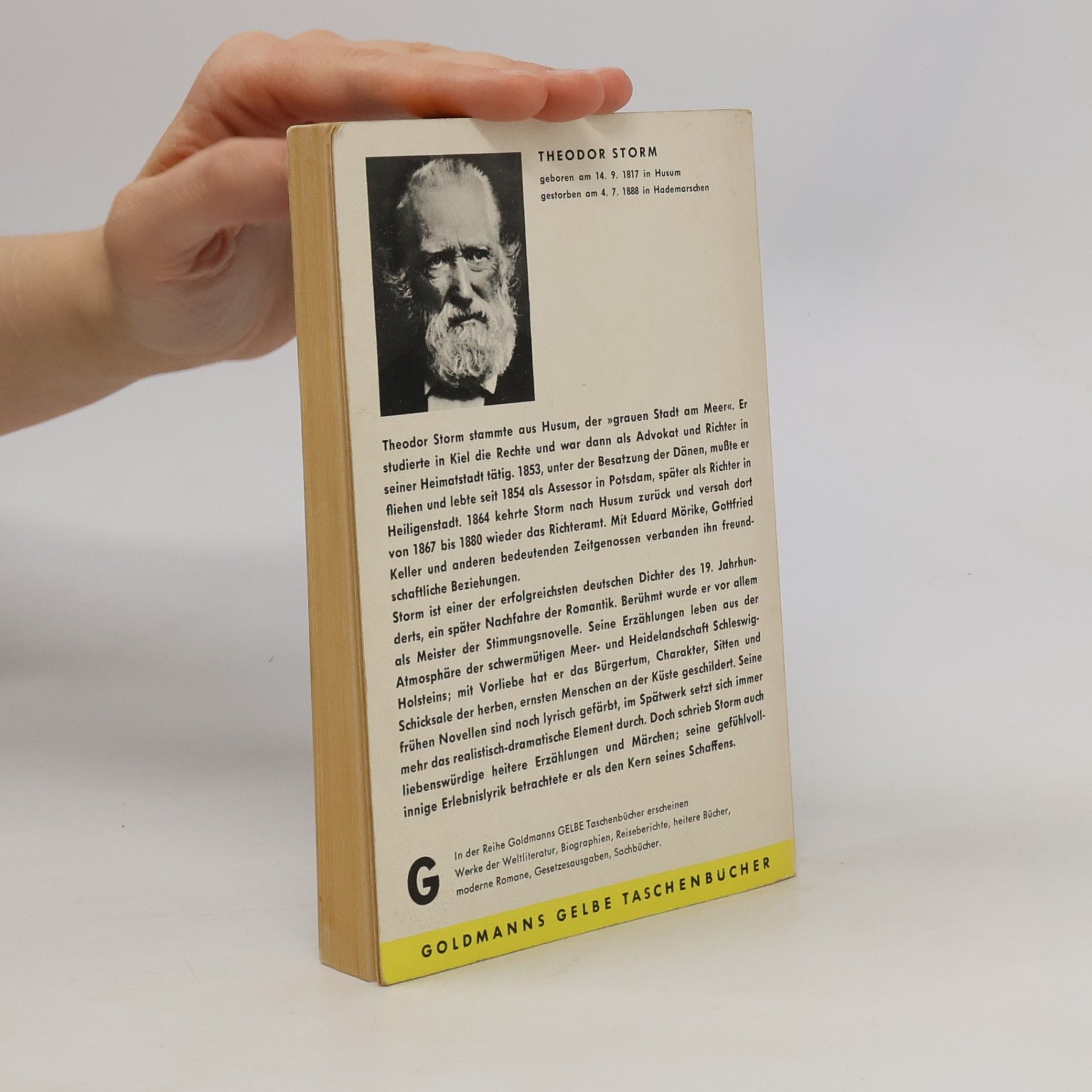 Theodor Storm DER SCHIMMELREITER UND ANDERE NOVELLEN