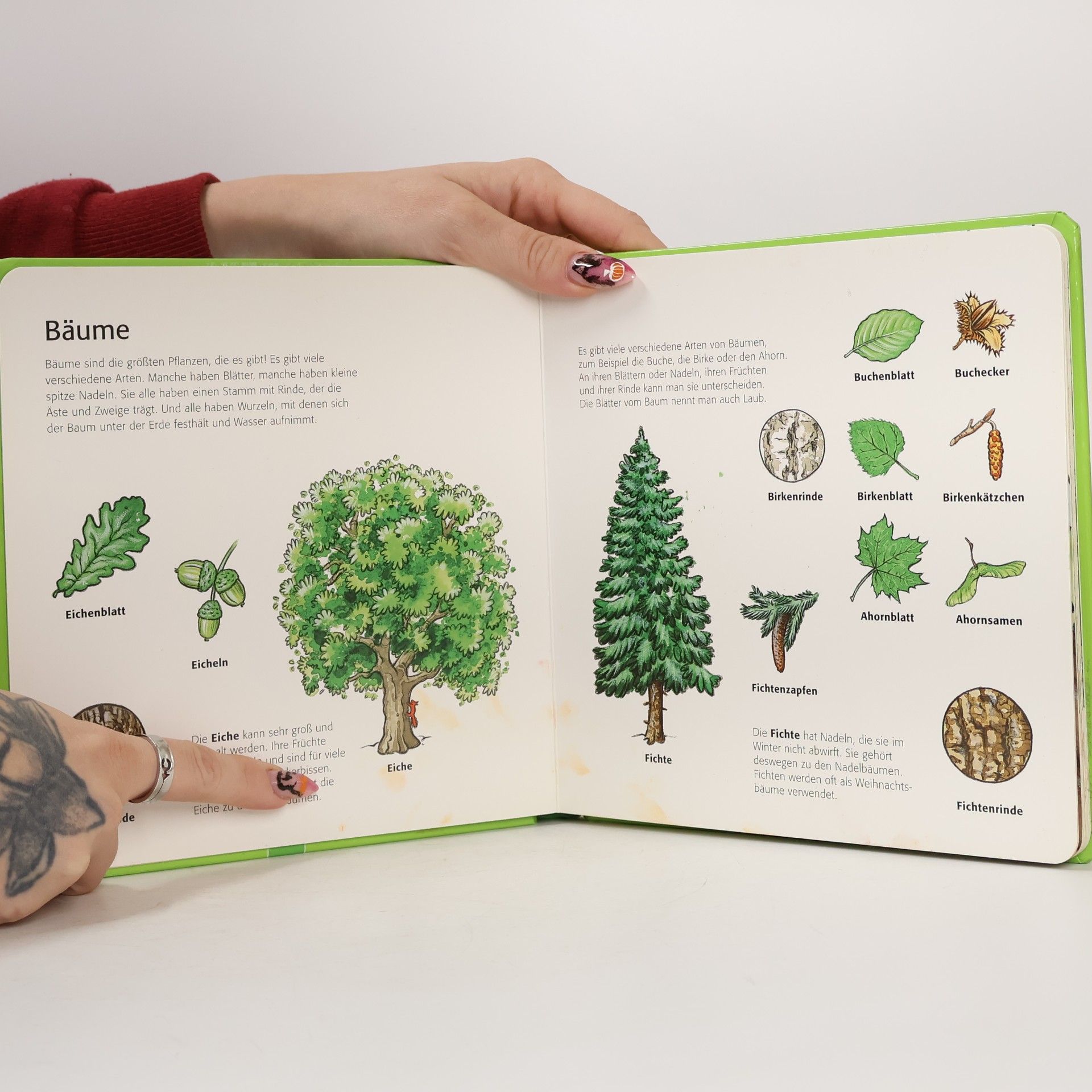 Sandra Menke Kinder entdecken den Wald