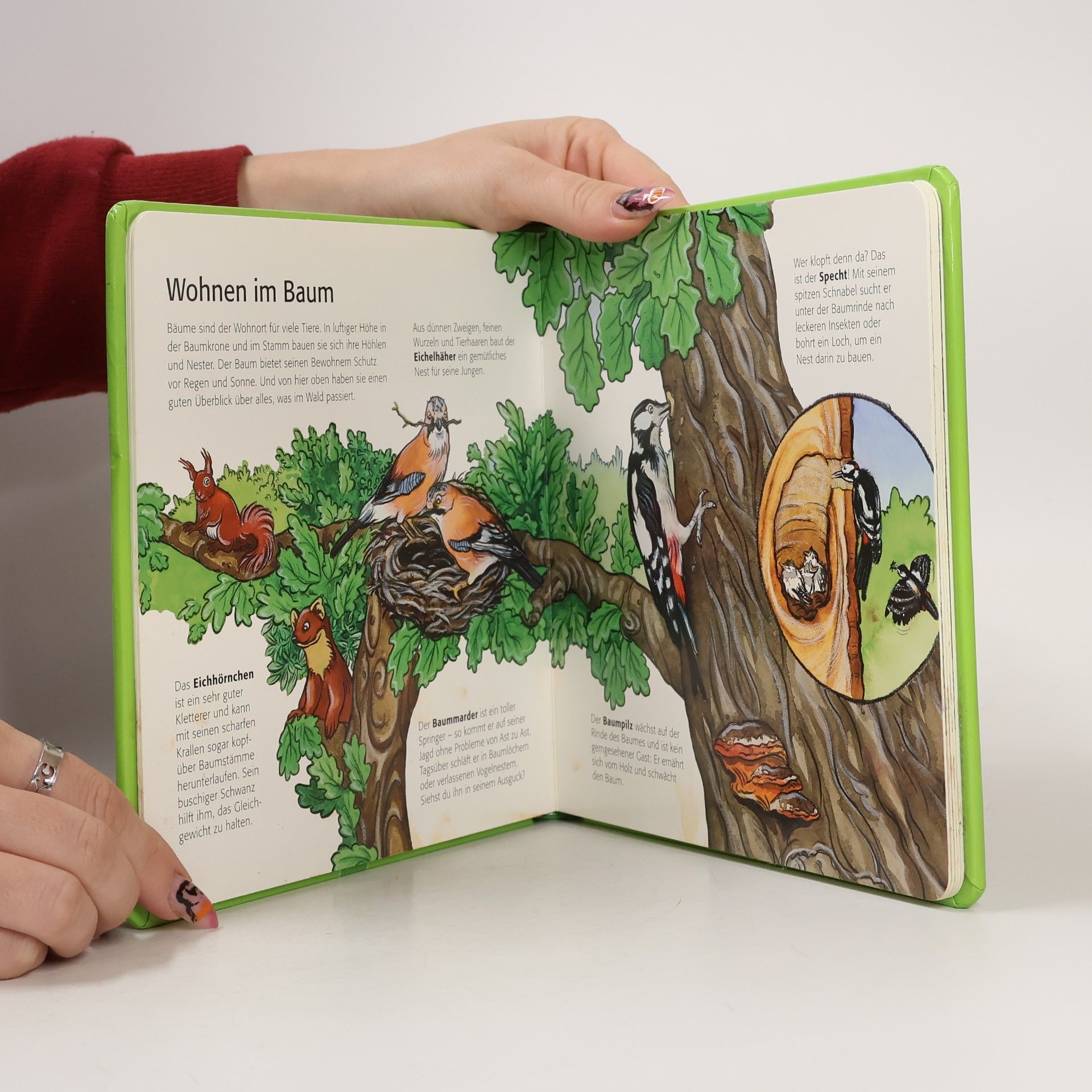Sandra Menke Kinder entdecken den Wald