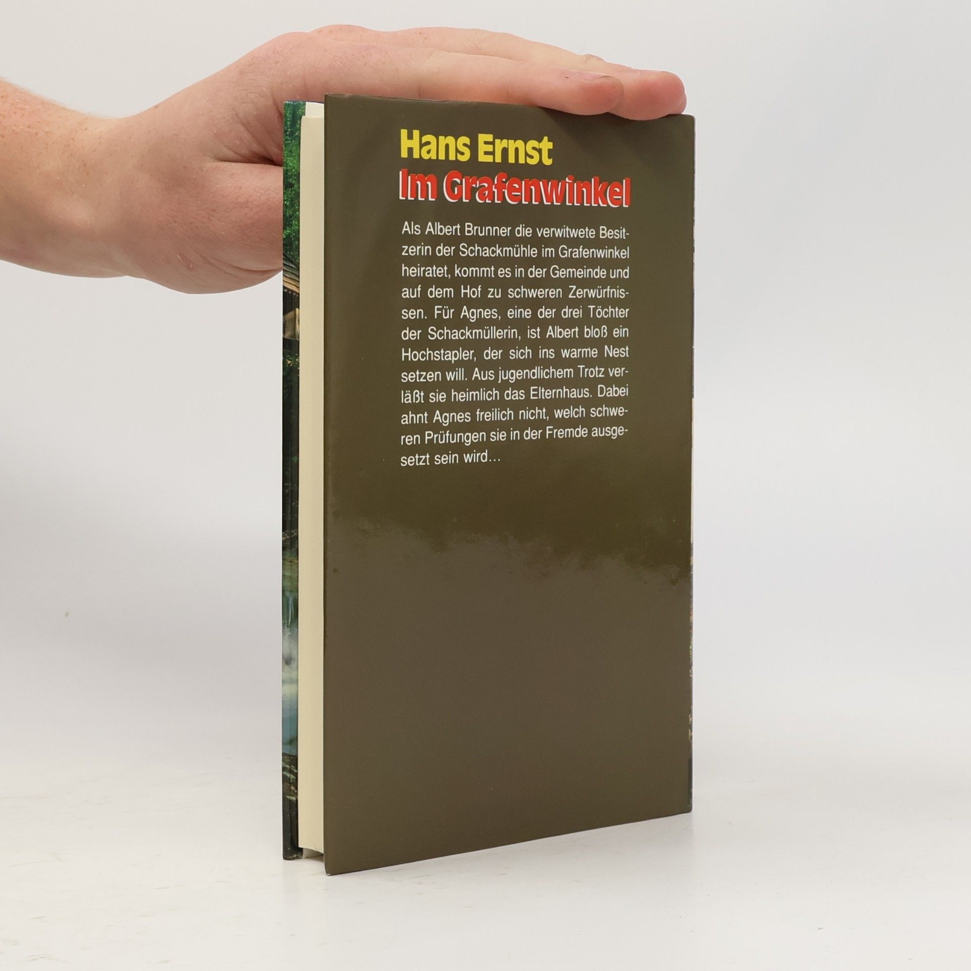 Hans-Ernst Schwiete Im Grafenwinkel