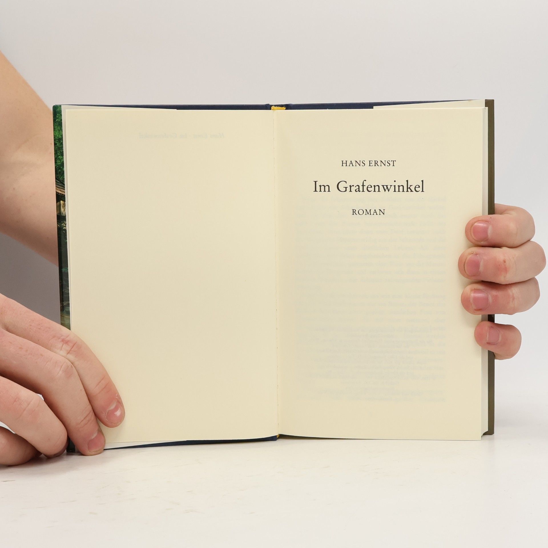 Hans-Ernst Schwiete Im Grafenwinkel