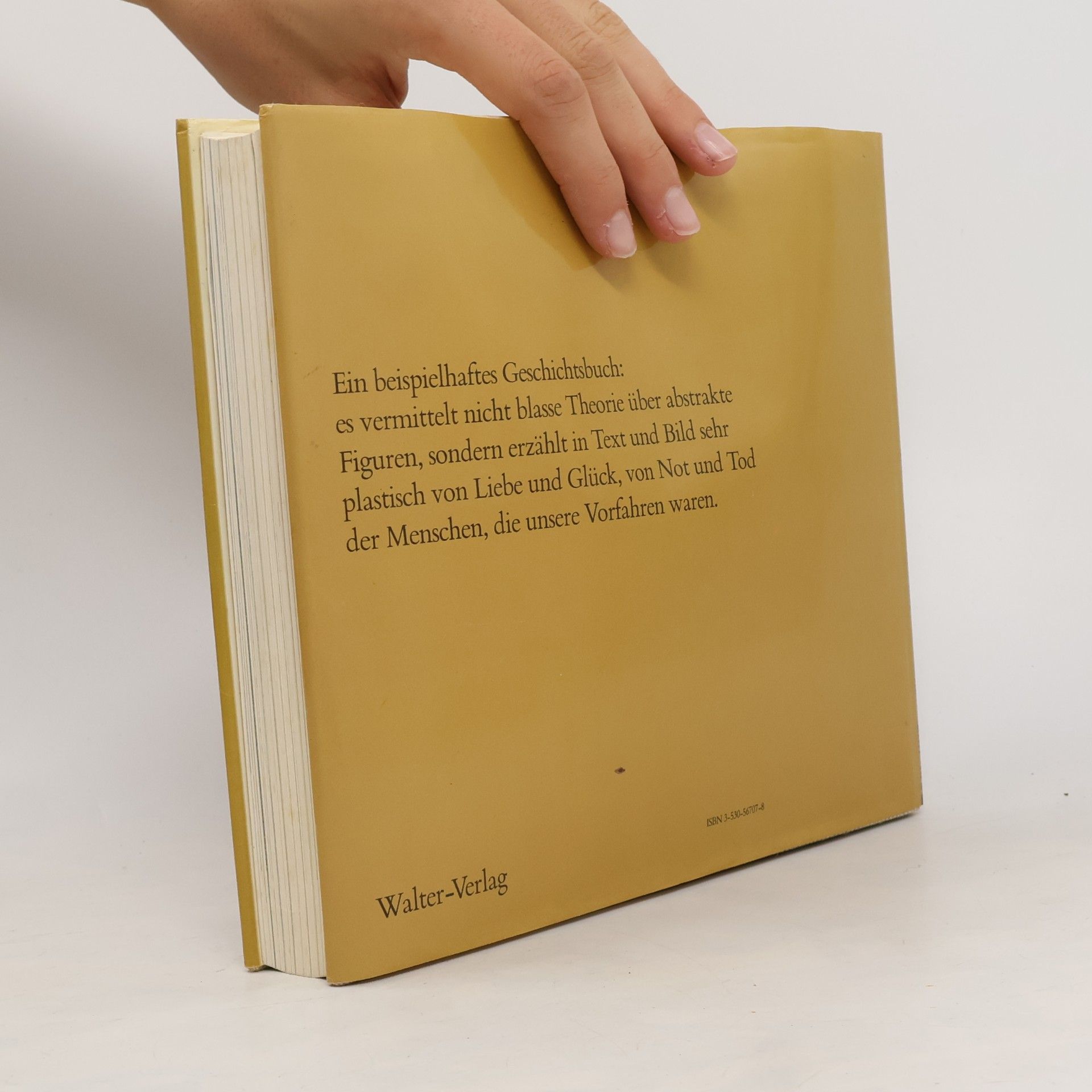 Werner Meyer-Larsen Hirsebrei und Hellebarde