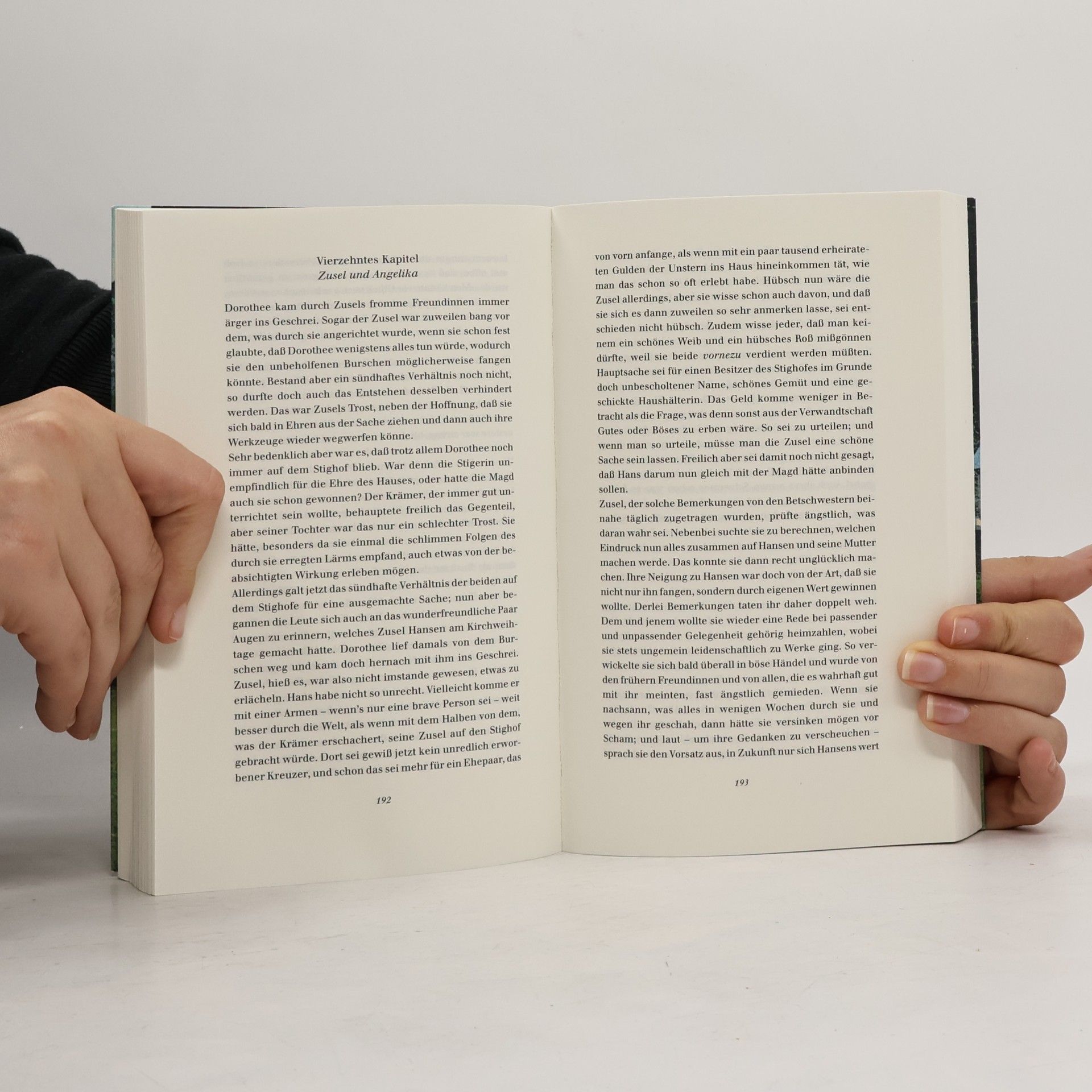 Franz Michael Felder Reich und Arm