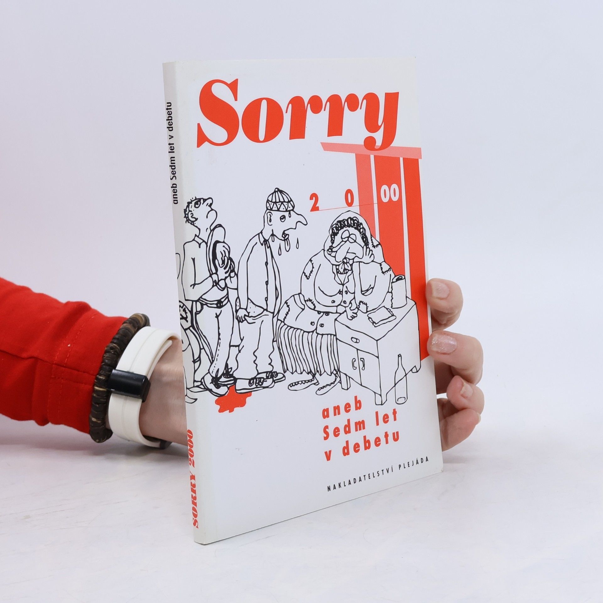 Sorry 2000 aneb Sedm let v debetu