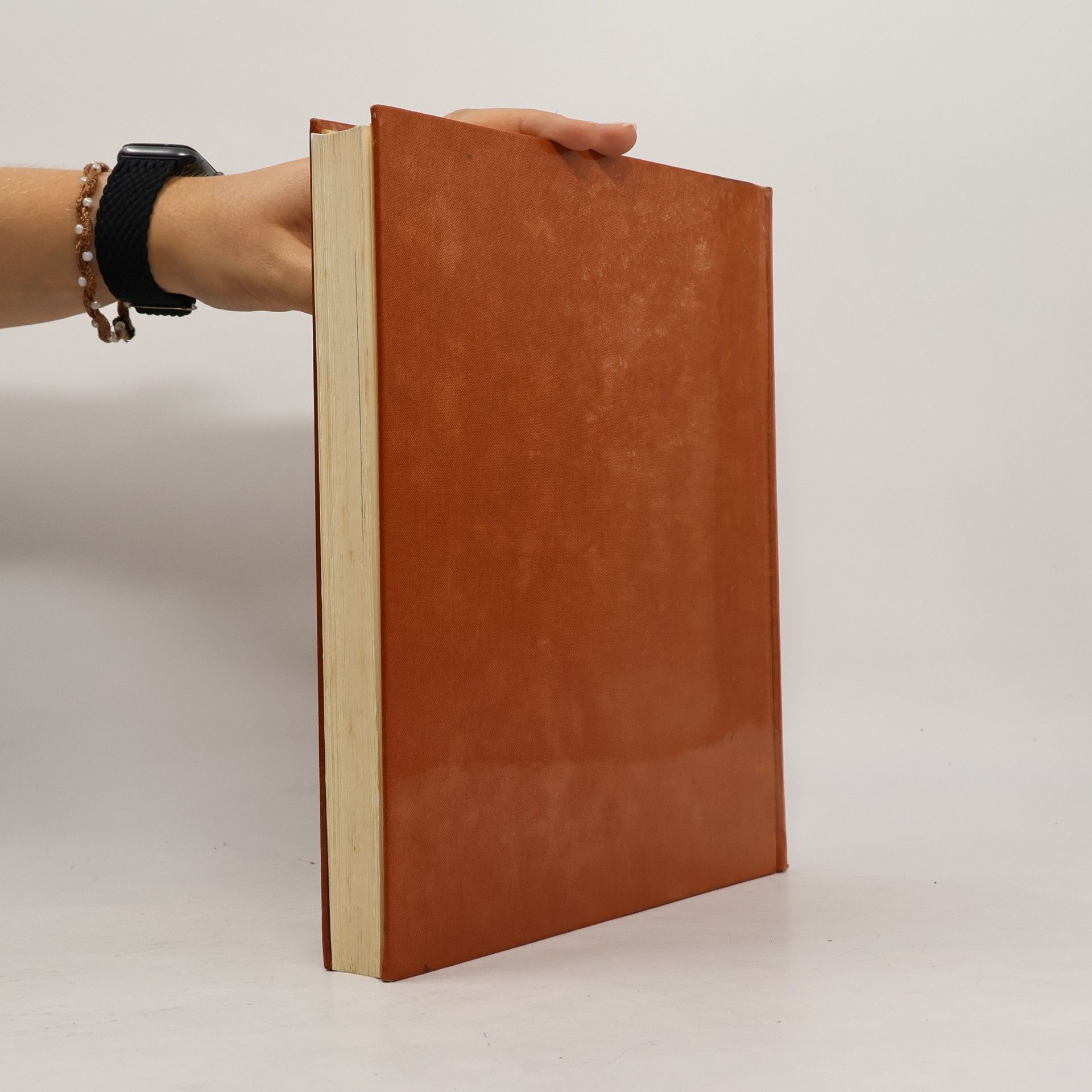 Autorenkollektiv Das große Liederbuch