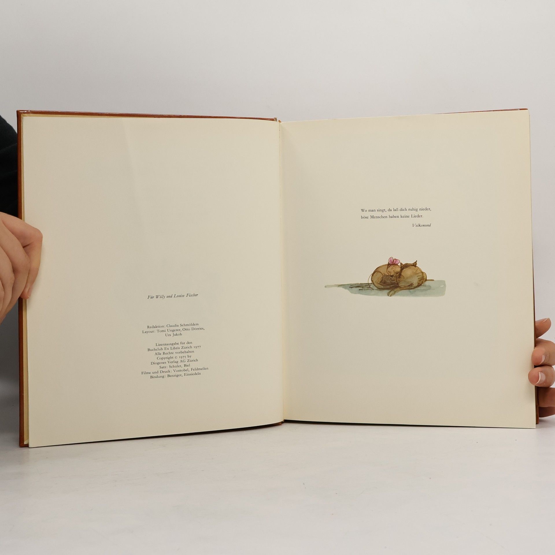Autorenkollektiv Das große Liederbuch