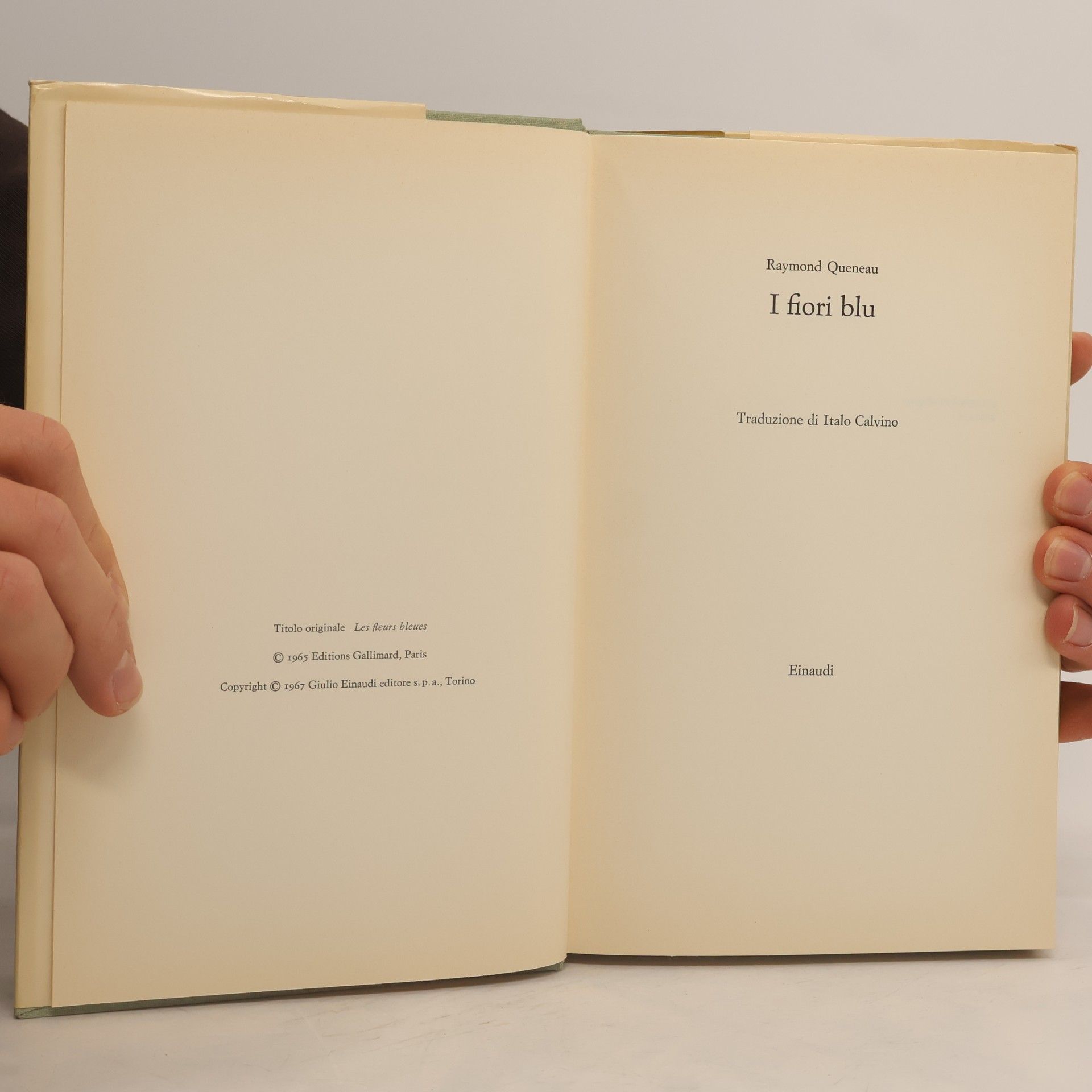 Raymond Queneau I FIORI BLU
