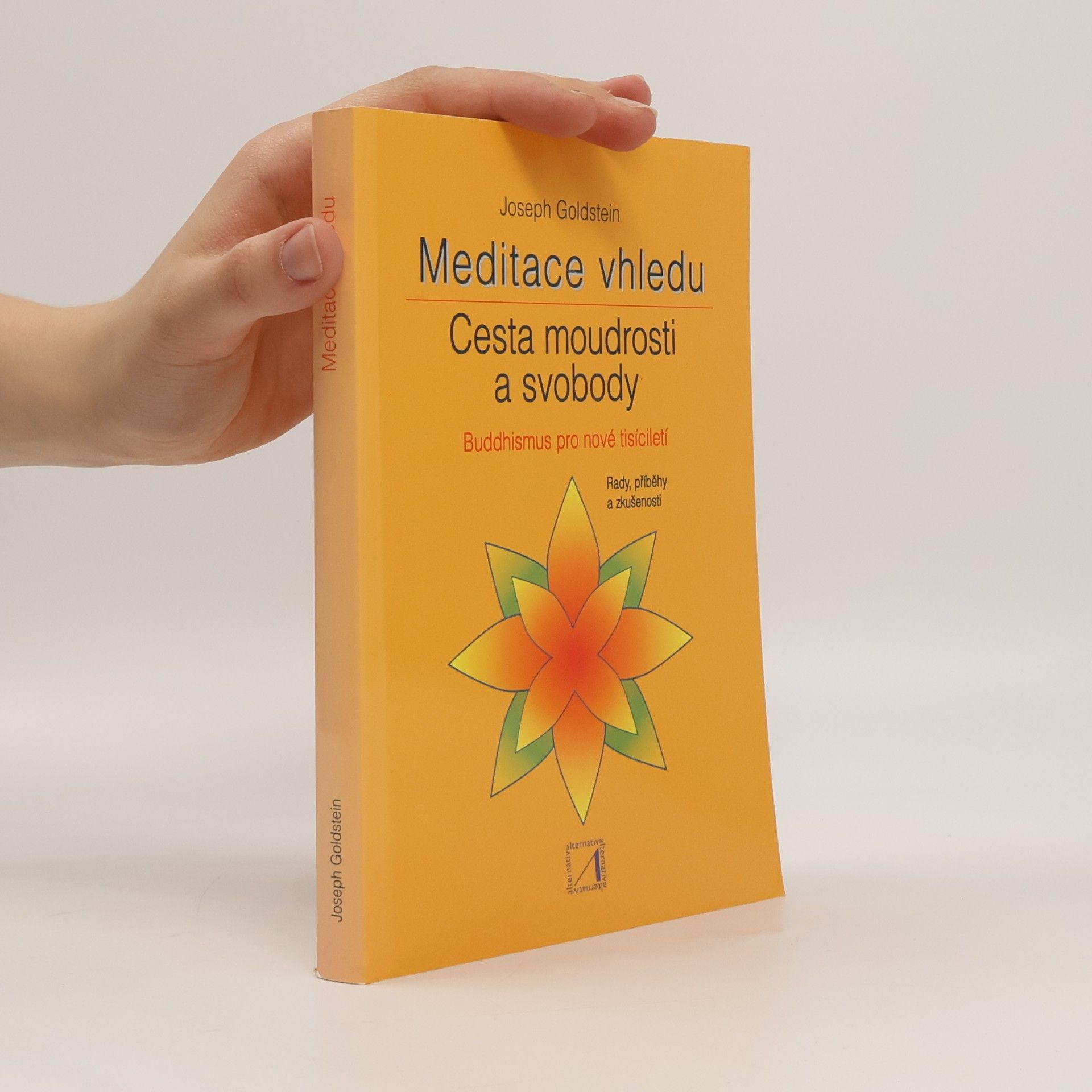 Meditace vhledu: Cesta moudrosti a svobody: Buddhismus pro nové tisíciletí