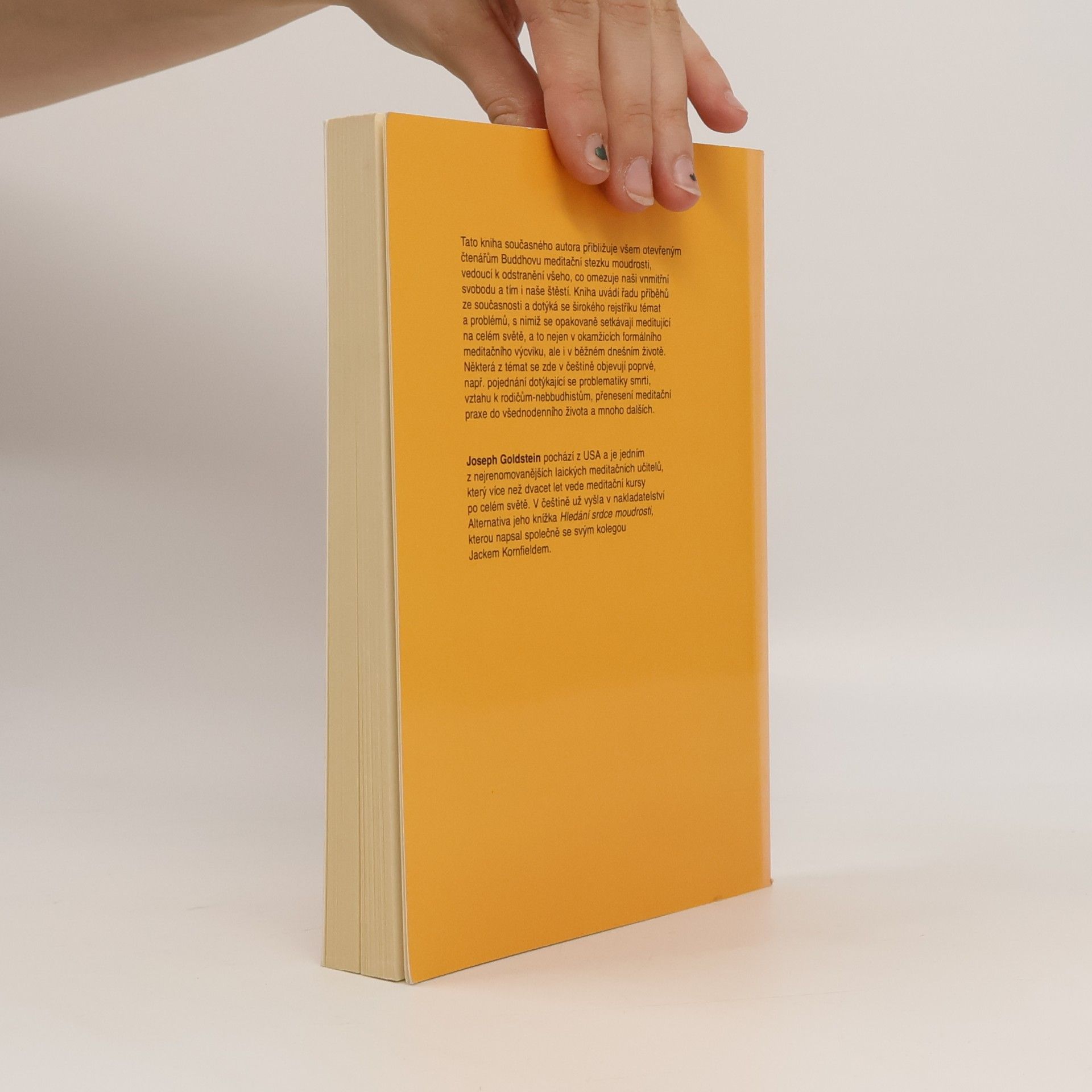 Joseph Goldstein Meditace vhledu: Cesta moudrosti a svobody: Buddhismus pro nové tisíciletí