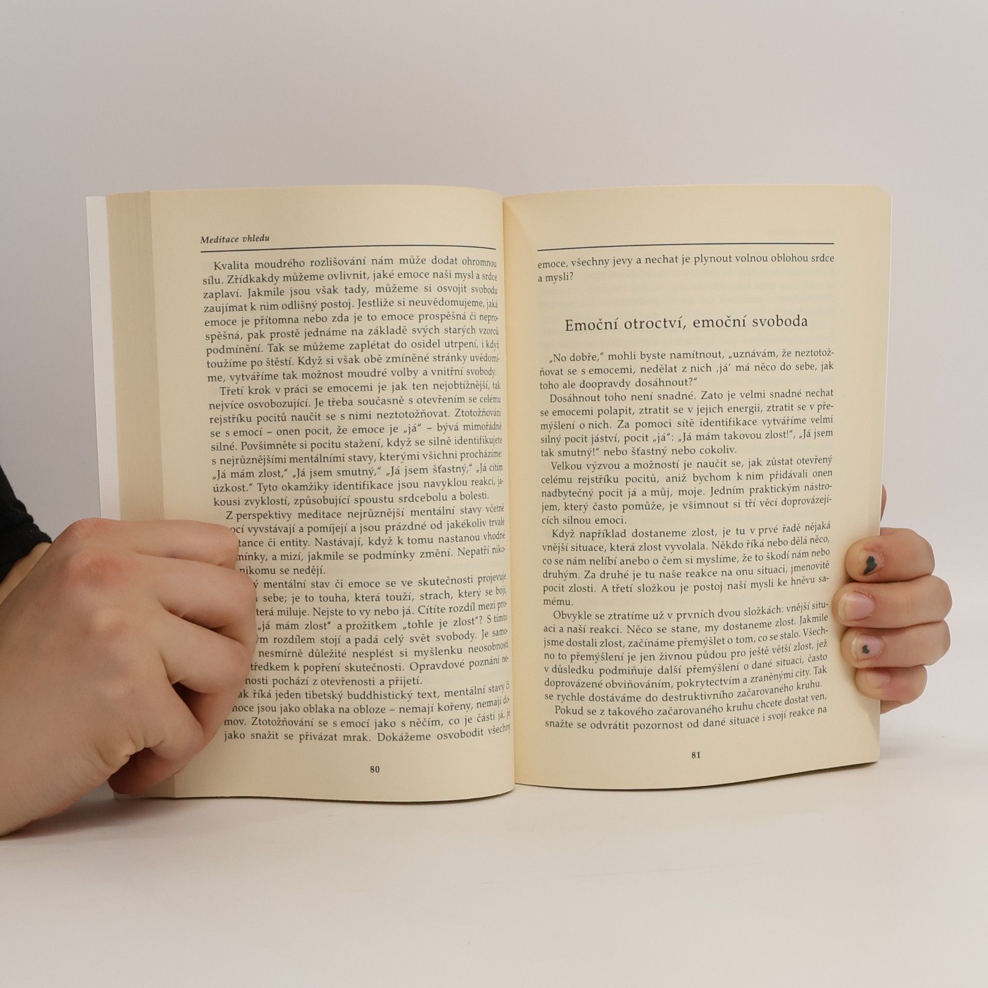 Joseph Goldstein Meditace vhledu: Cesta moudrosti a svobody: Buddhismus pro nové tisíciletí