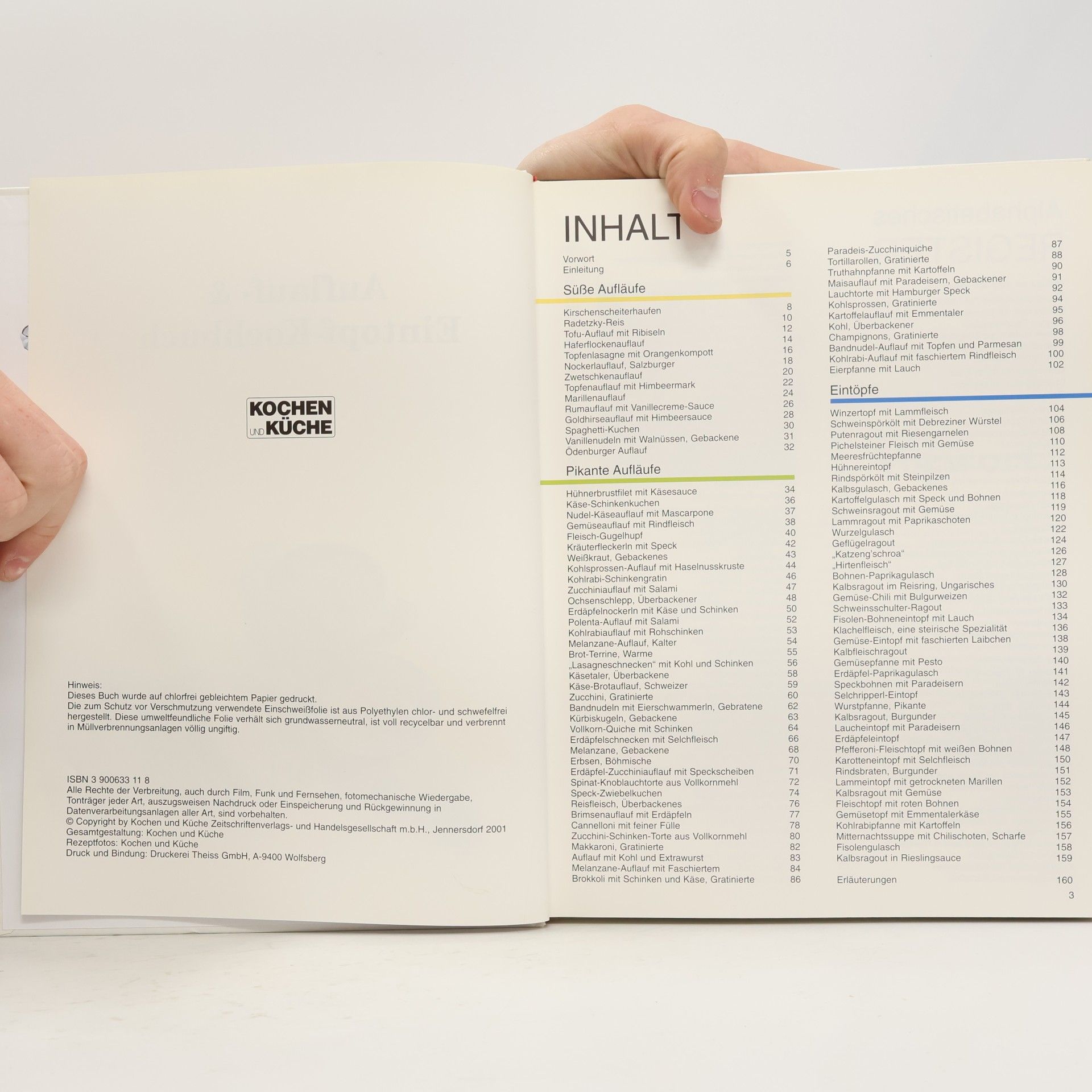 Kolektiv autorů Auflauf & Eintopf Kochbuch