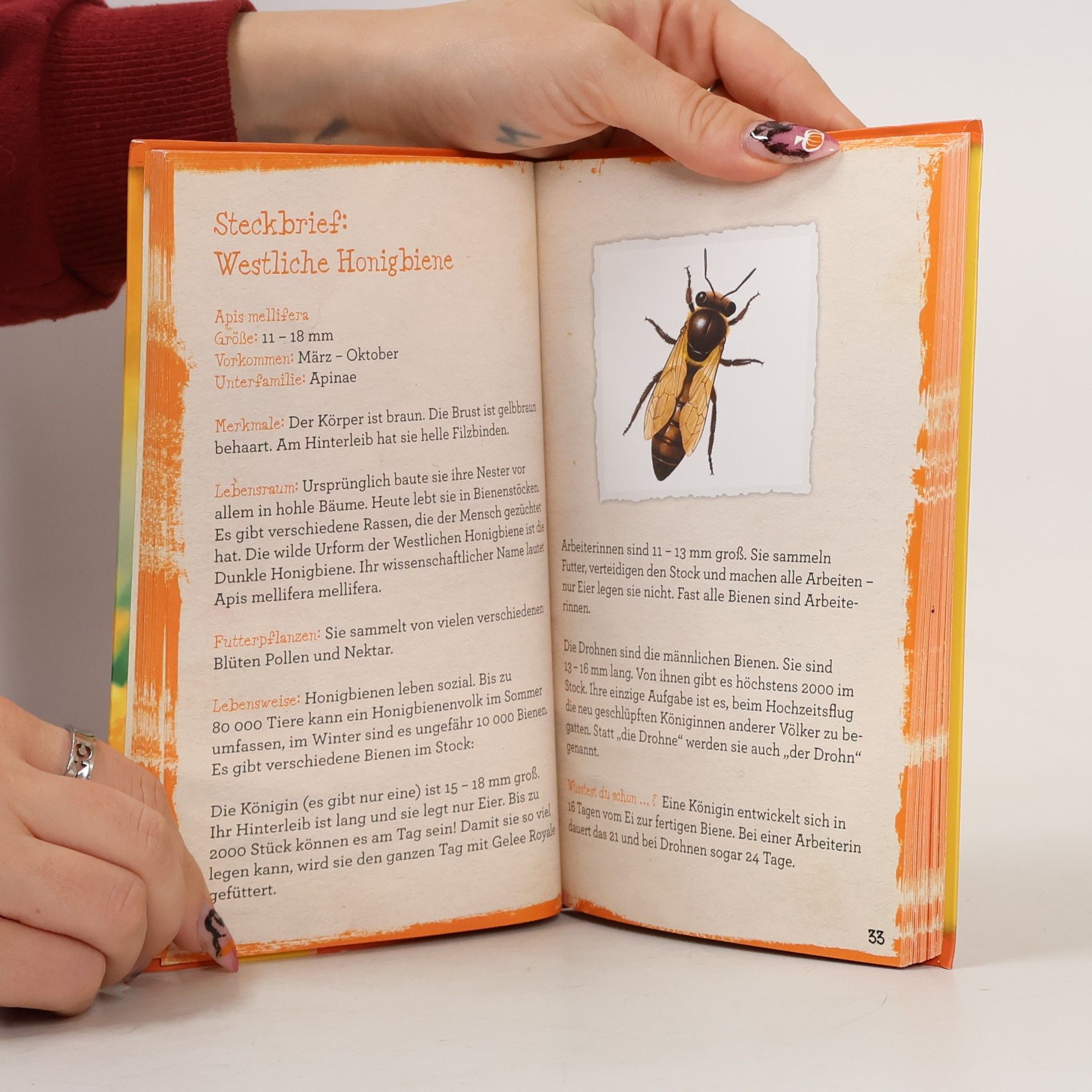 Various authors Die Welt Der Bienen
