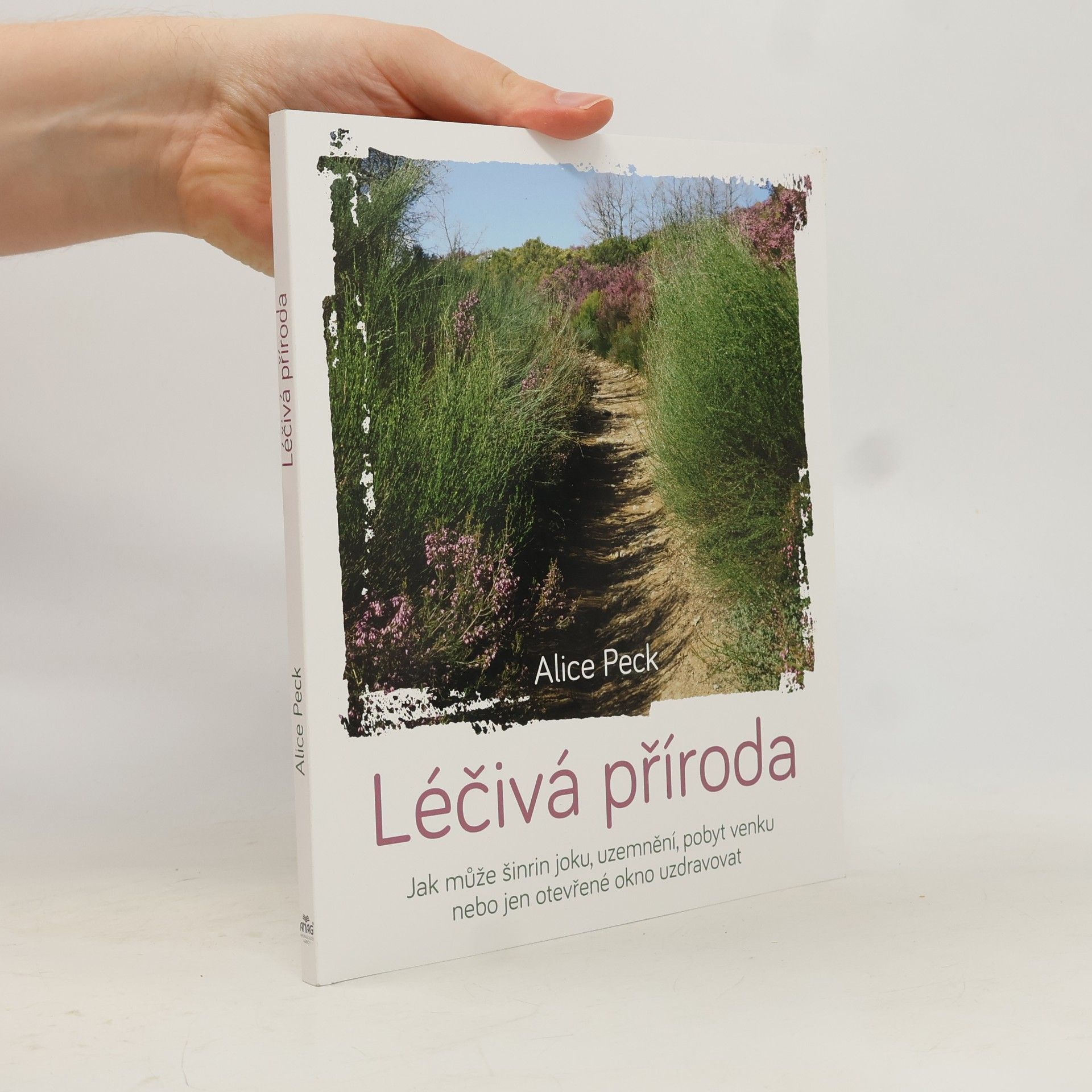 Léčivá příroda: Jak může šinrin joku, uzemnění, pobyt venku nebo jen otevřené okno uzdravovat