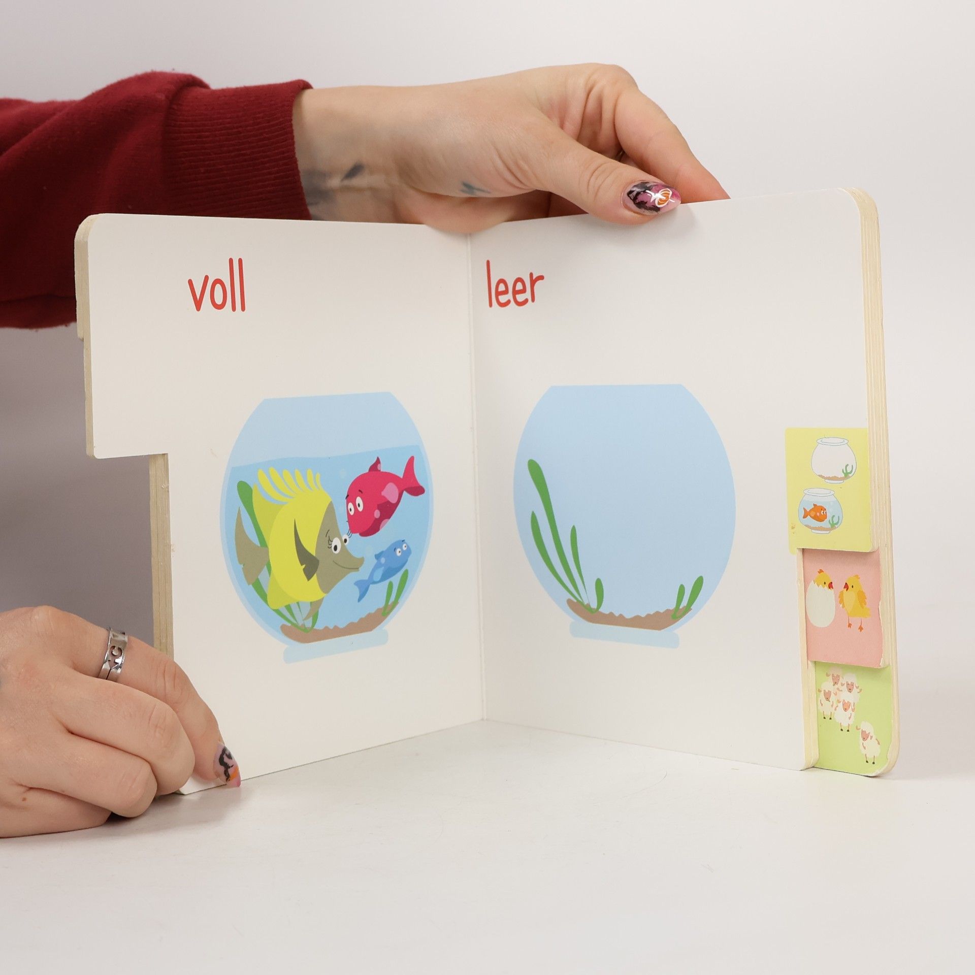 Oli Poppins Mein erstes Registerbuch Gegensätze