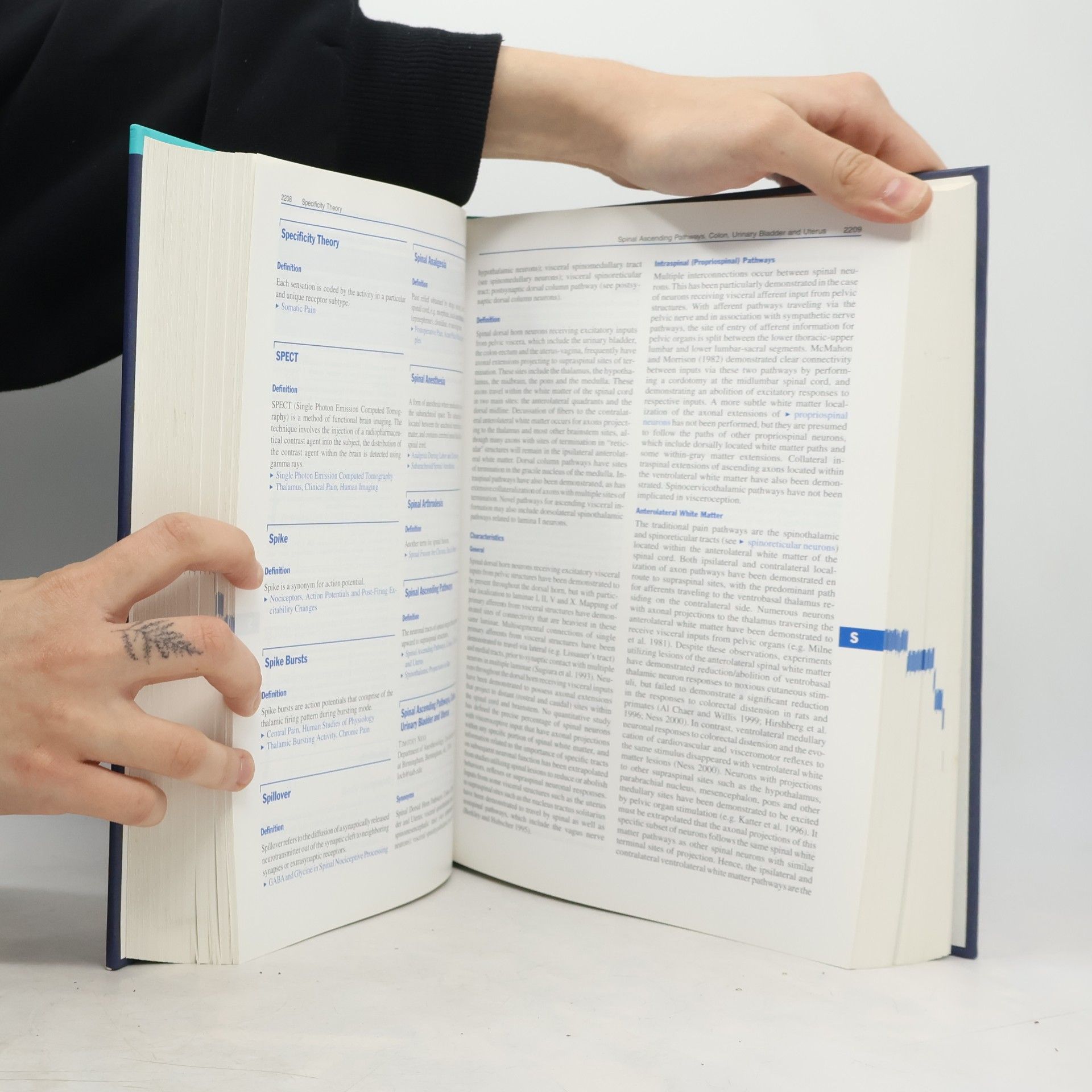 Robert Franz Schmidt Springer Reference - 2 H-O: Encyclopedia of Pain