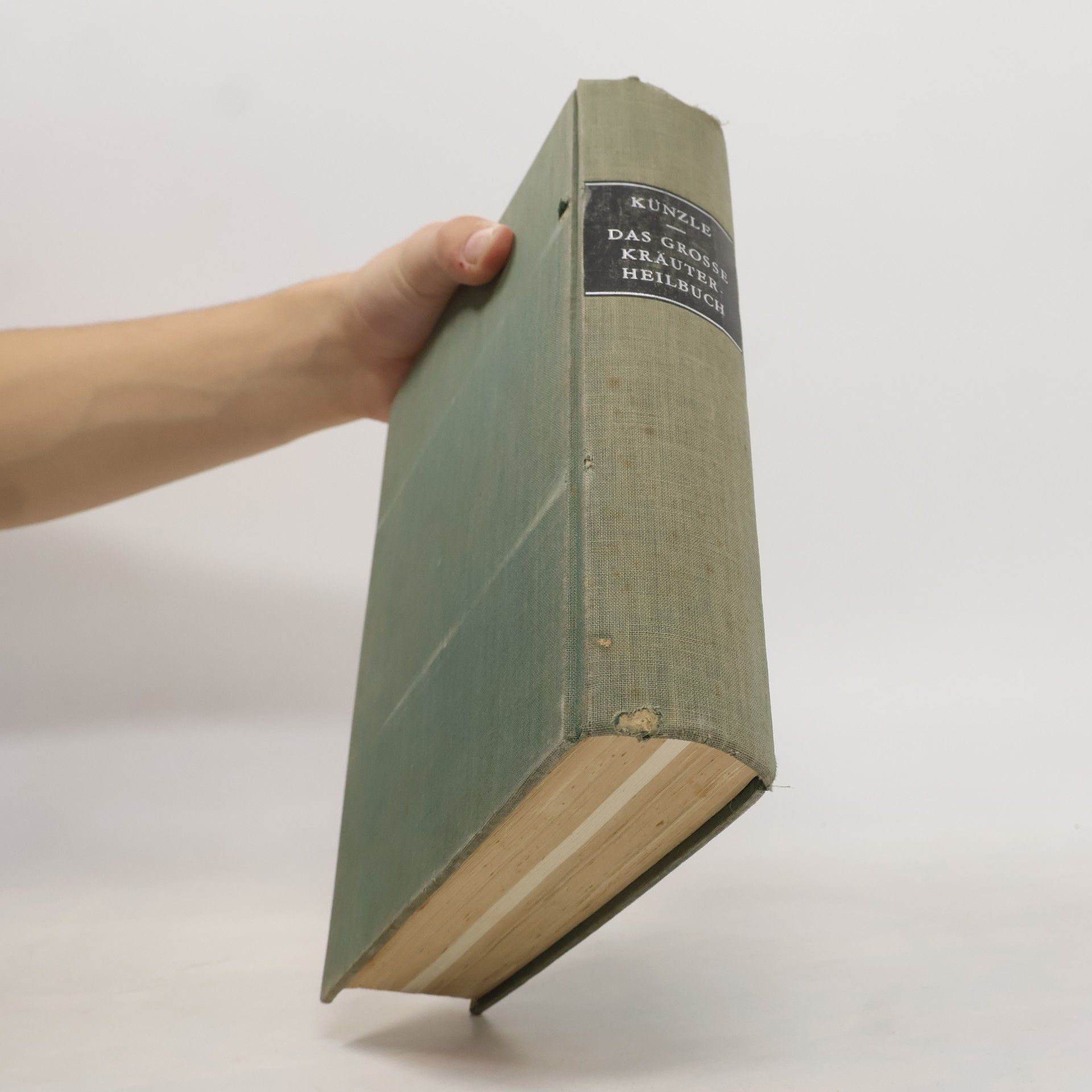 Johann Künzle Das Grosse Kräuter Heilbuch