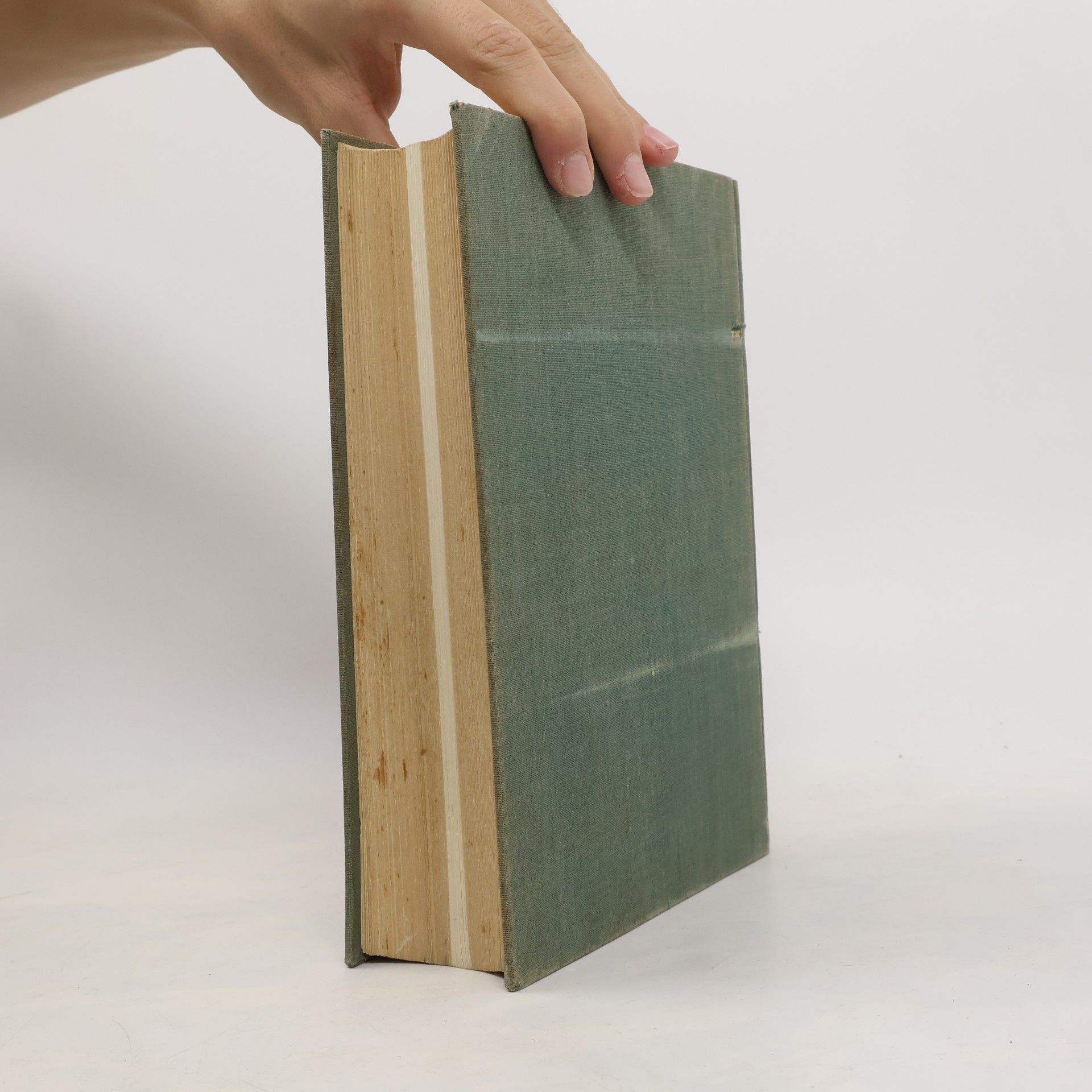 Johann Künzle Das Grosse Kräuter Heilbuch