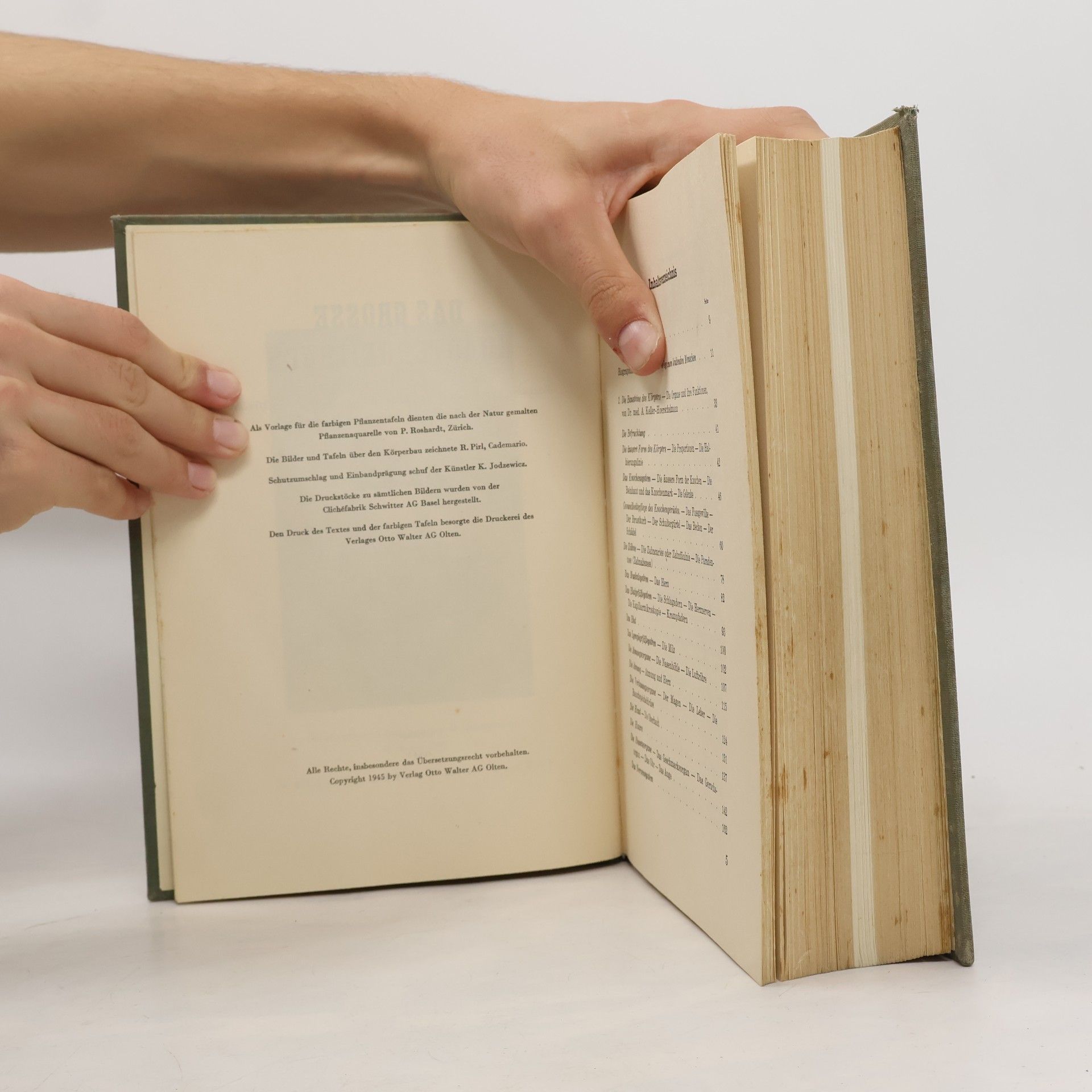 Johann Künzle Das Grosse Kräuter Heilbuch