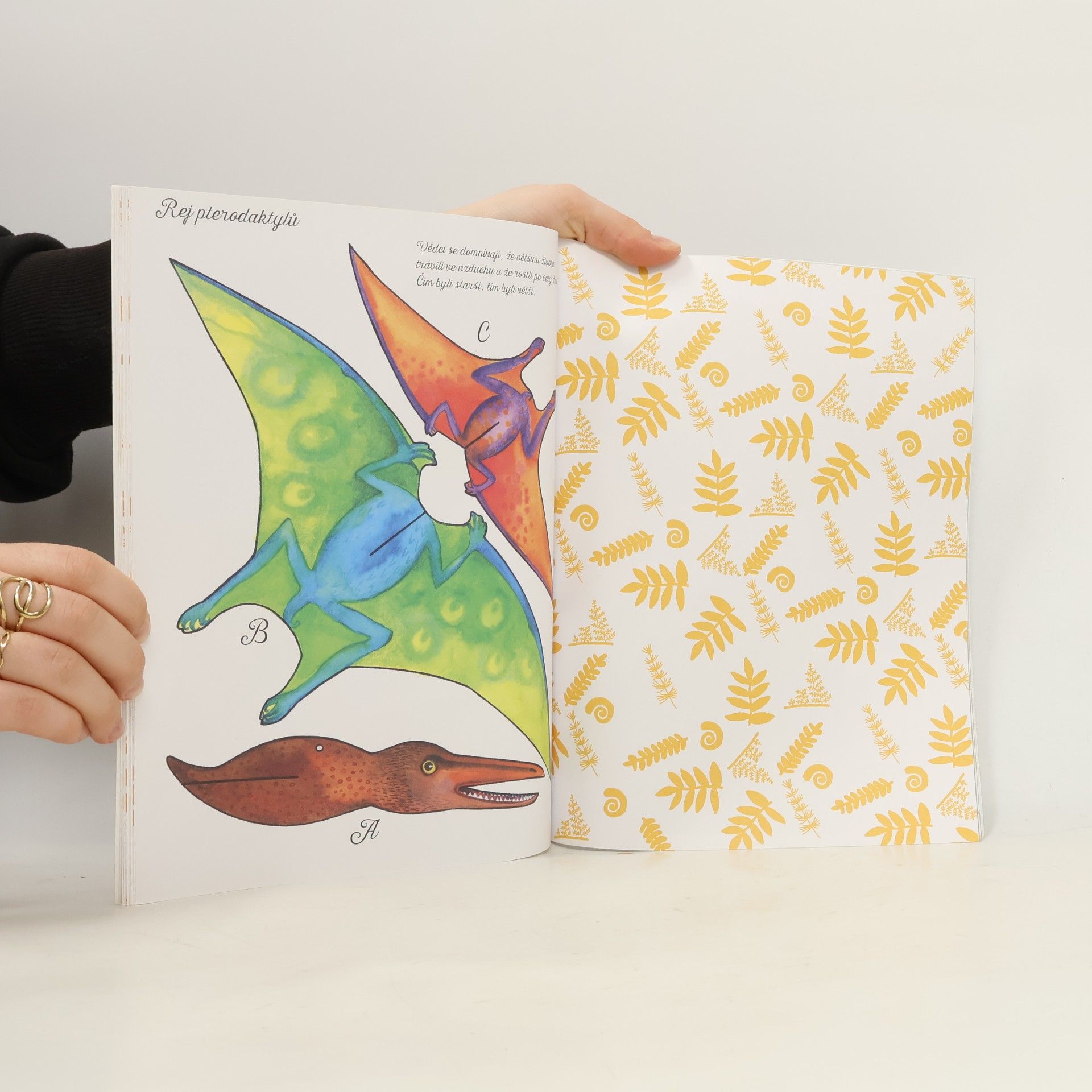 Andrea Popprová Papírové hračky Dinosauři