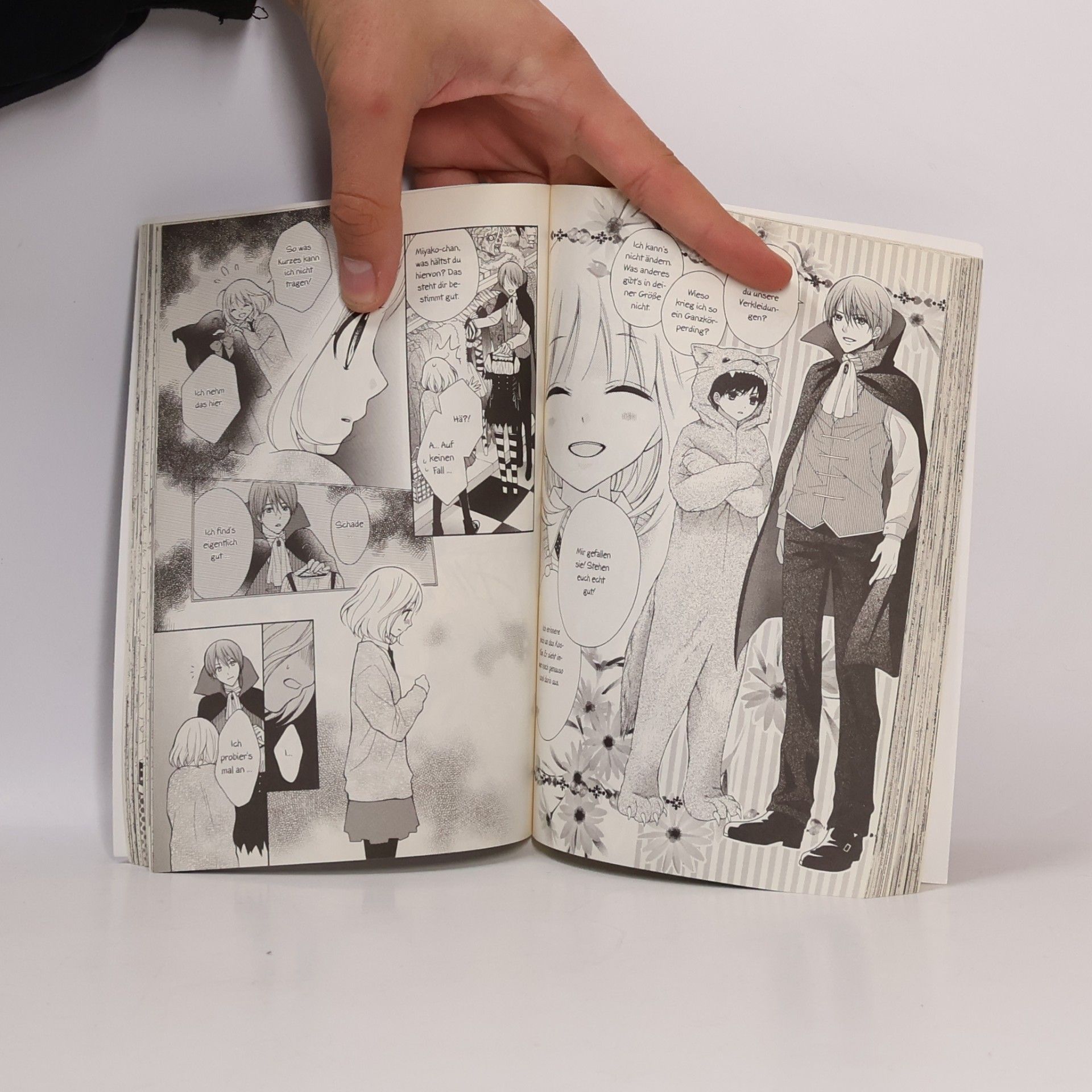 Kyoko Kumagai Miyako: Auf den Schwingen der Zeit 1