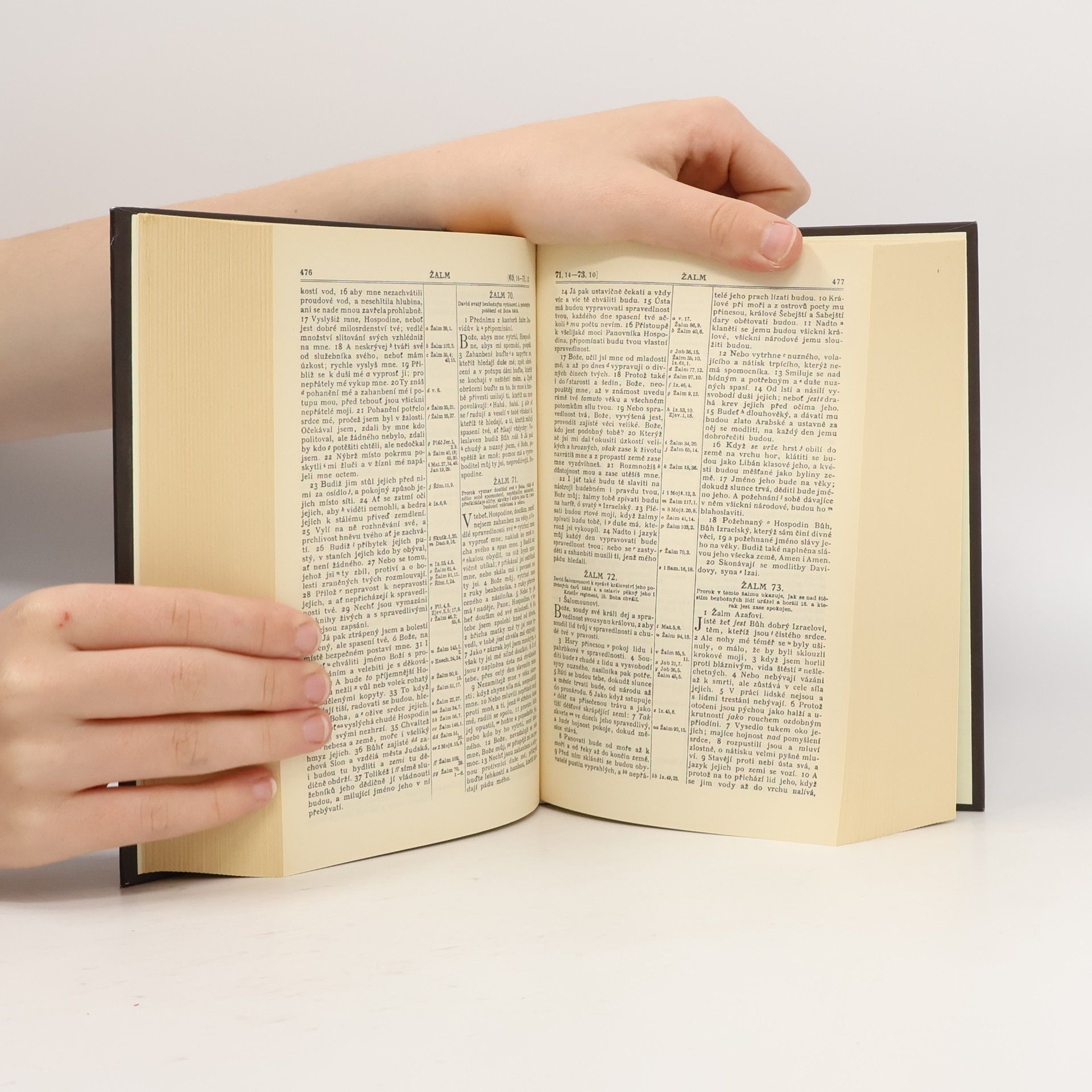 Kolektiv autorů Bible svatá aneb všecka svatá písma Starého i Nového zákona