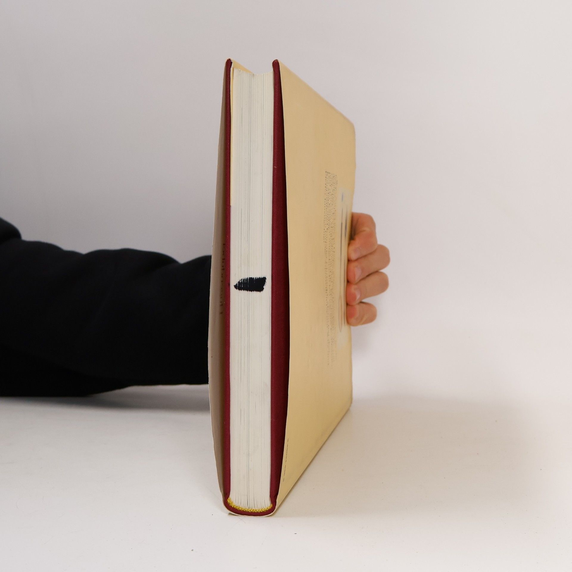 Rose Mann Das Kochbuch der Frau Rose